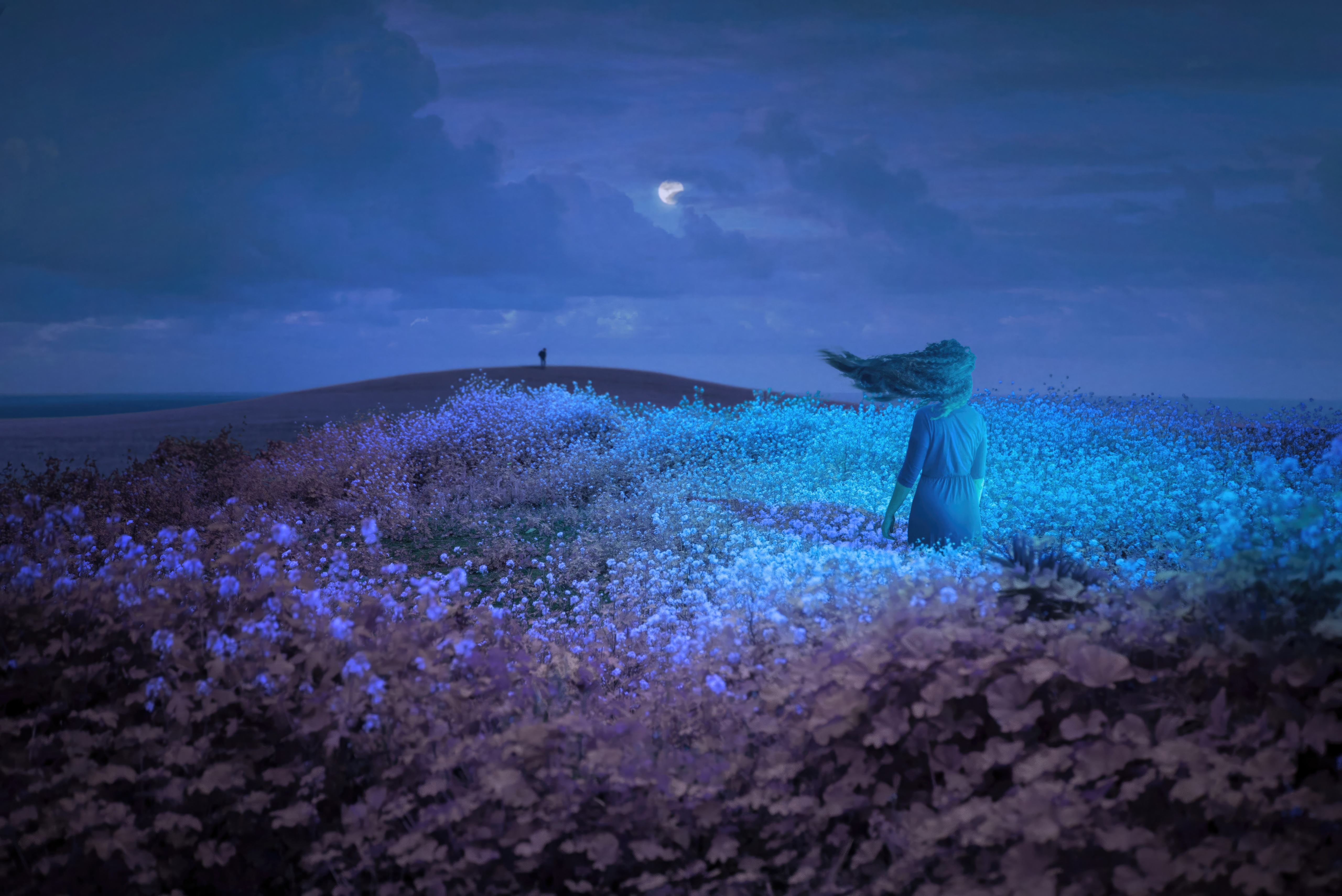 Woman in a field of flowers at night HD Wallpaper
