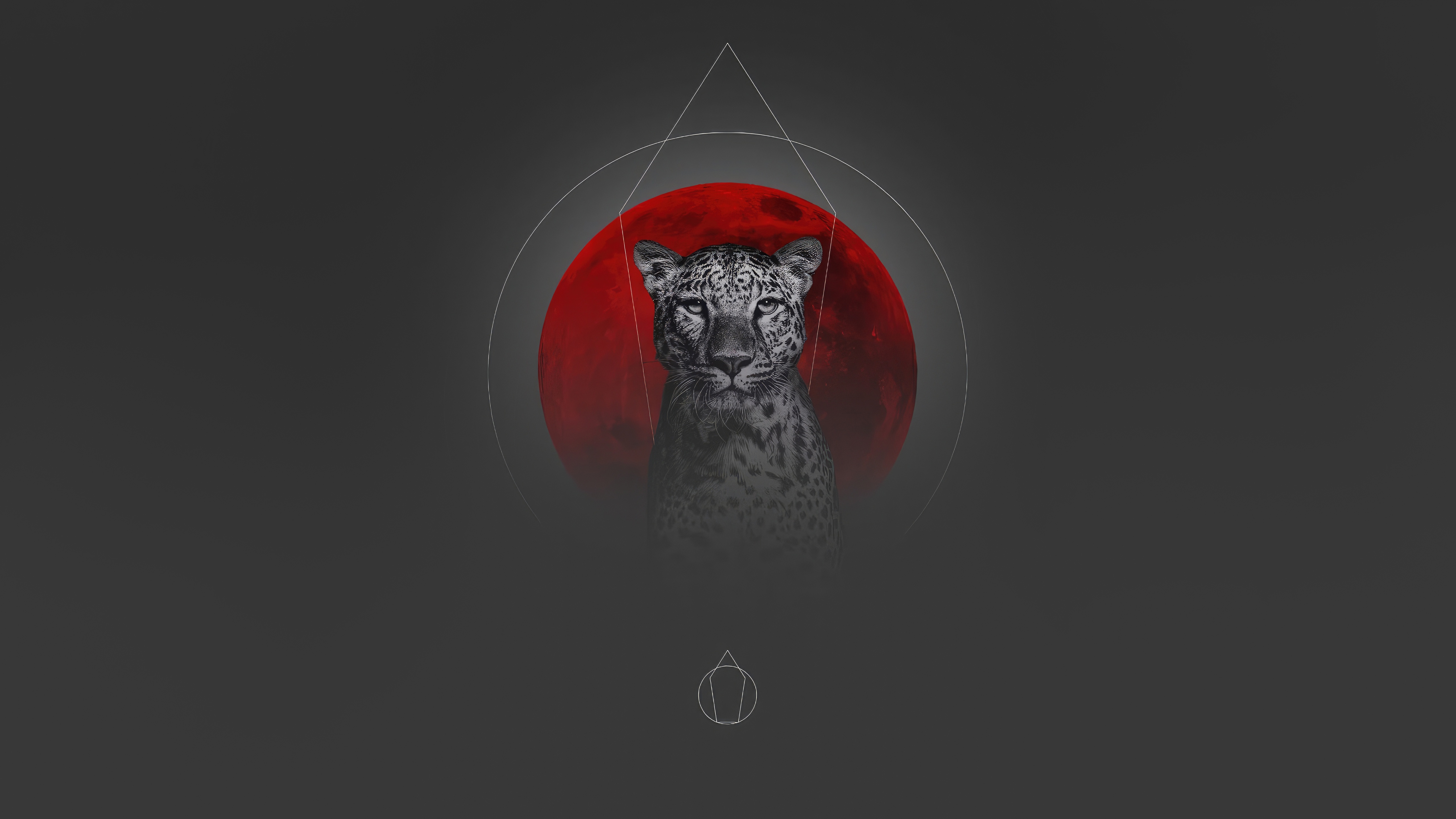 Leopard with Red Moon and Geometric Shapes HD Wallpaper
