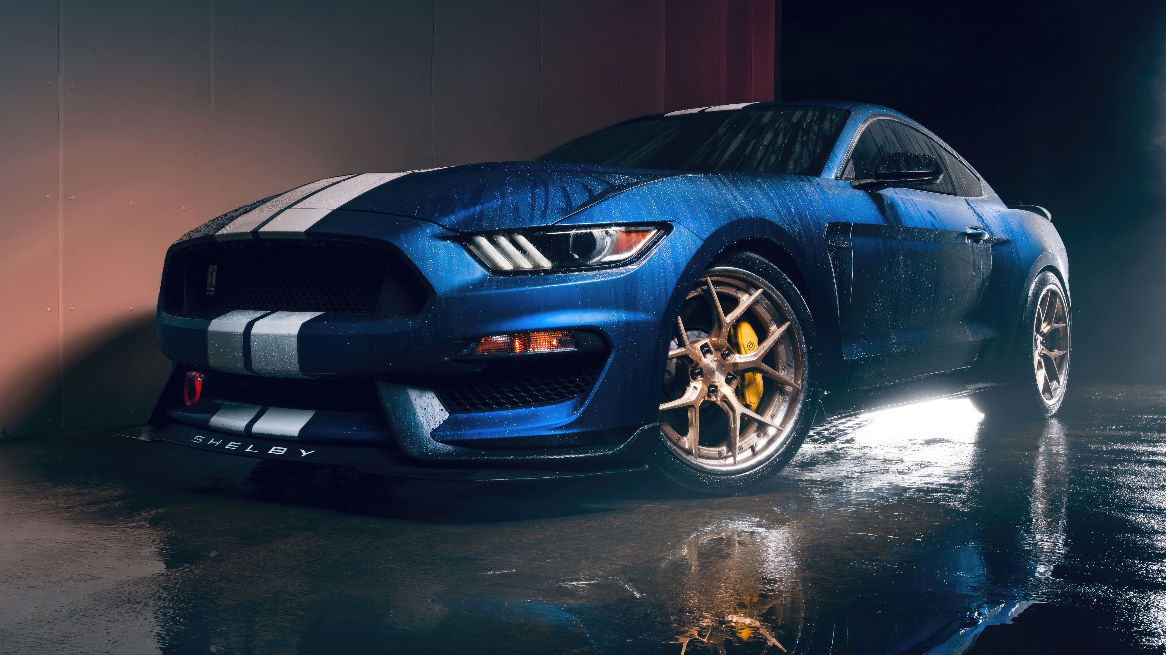 Blue Ford Shelby GT350R in the rain HD Wallpaper