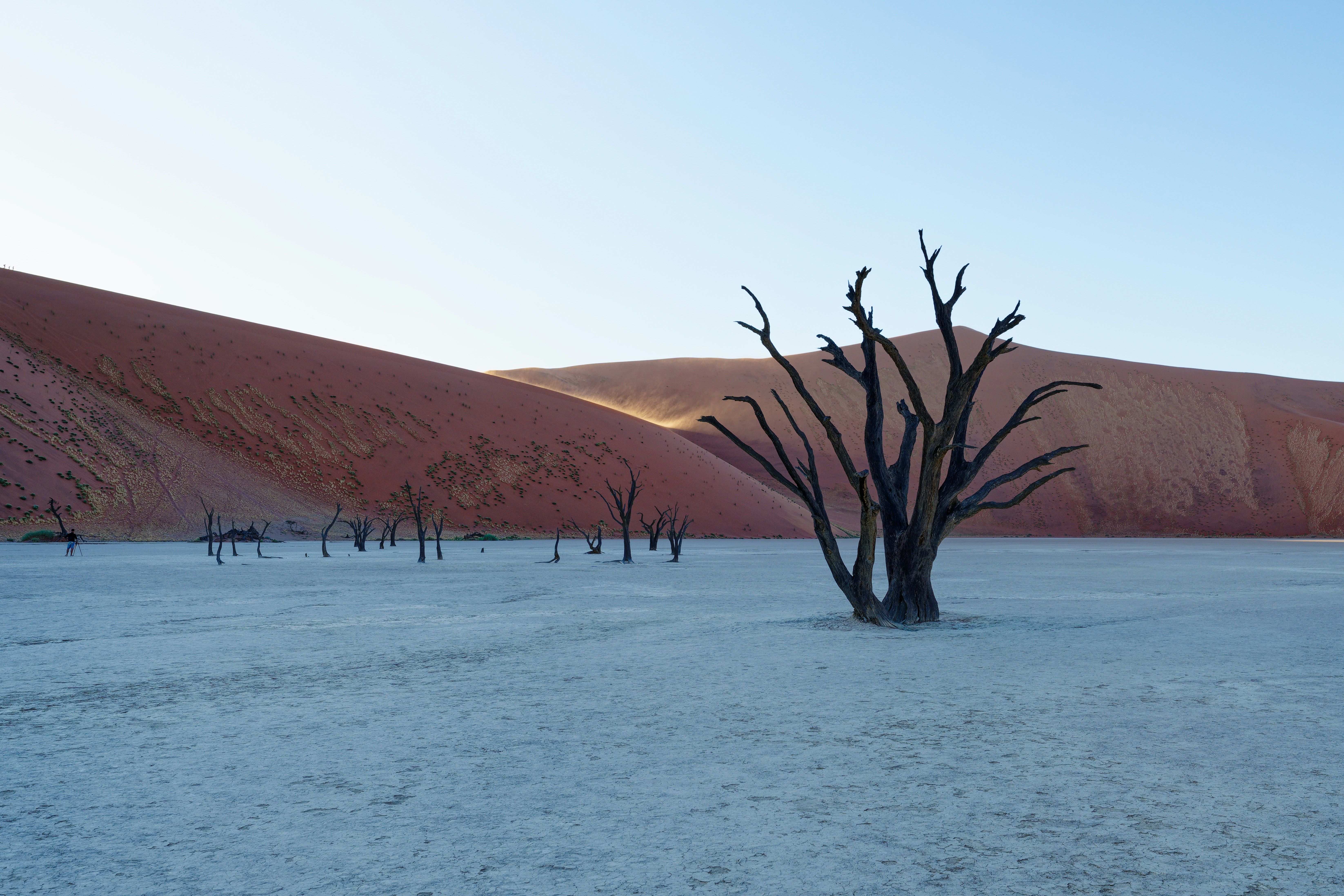 Dead trees in the desert landscape of Sossusvlei HD Wallpaper