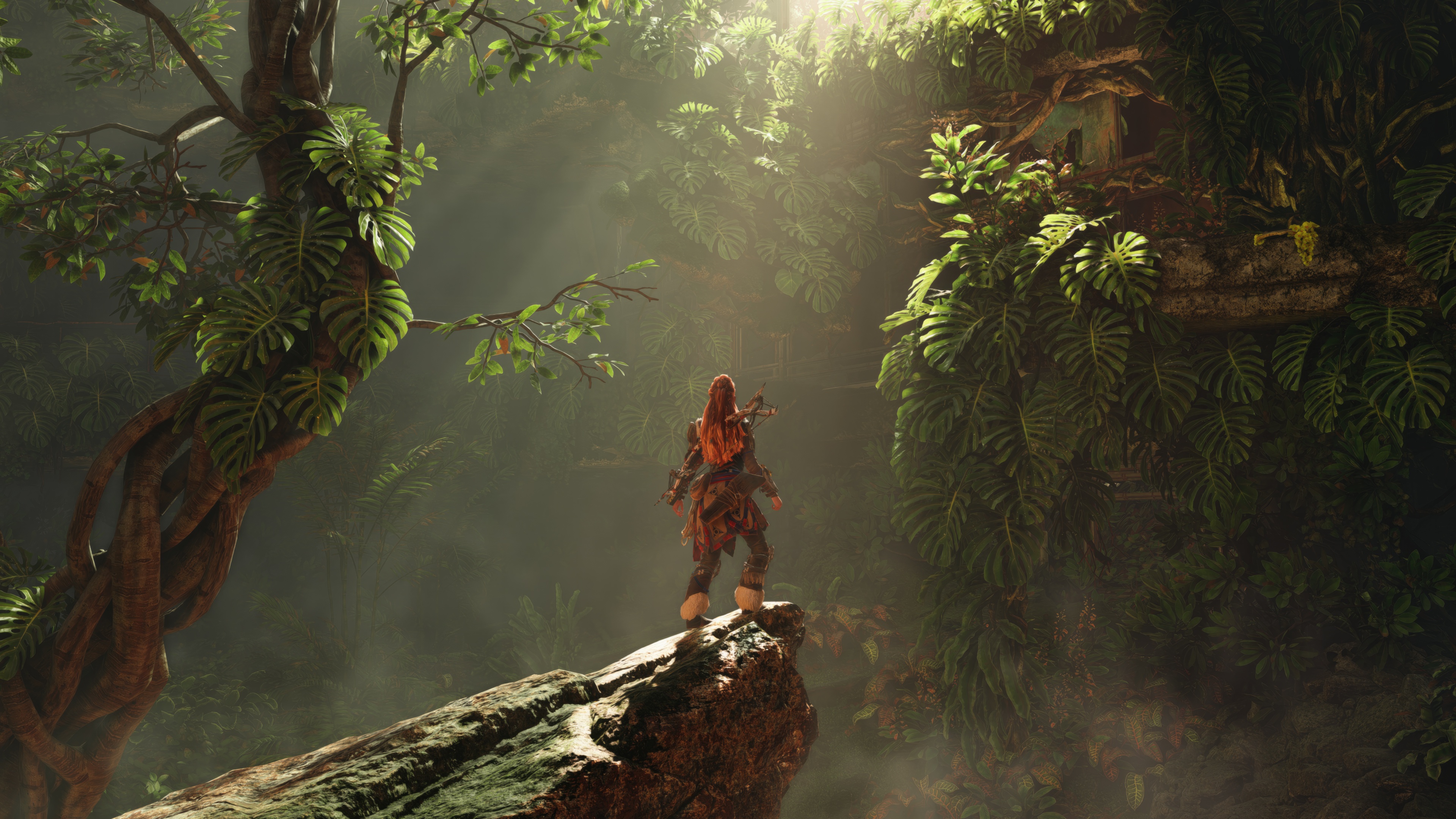 Aloy in a jungle in Horizon Forbidden West HD Wallpaper