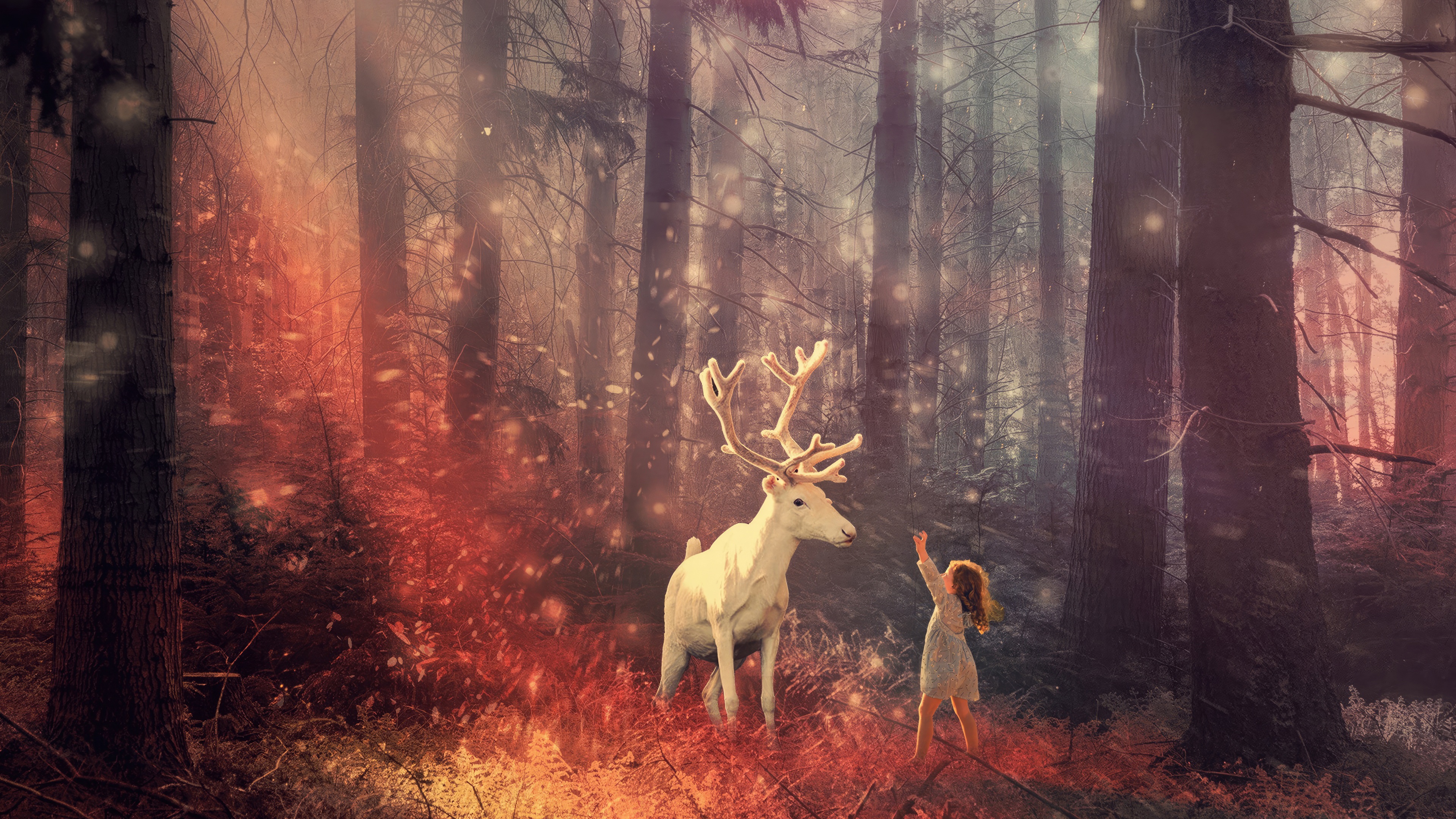 Girl and a white deer in a magical forest HD Wallpaper