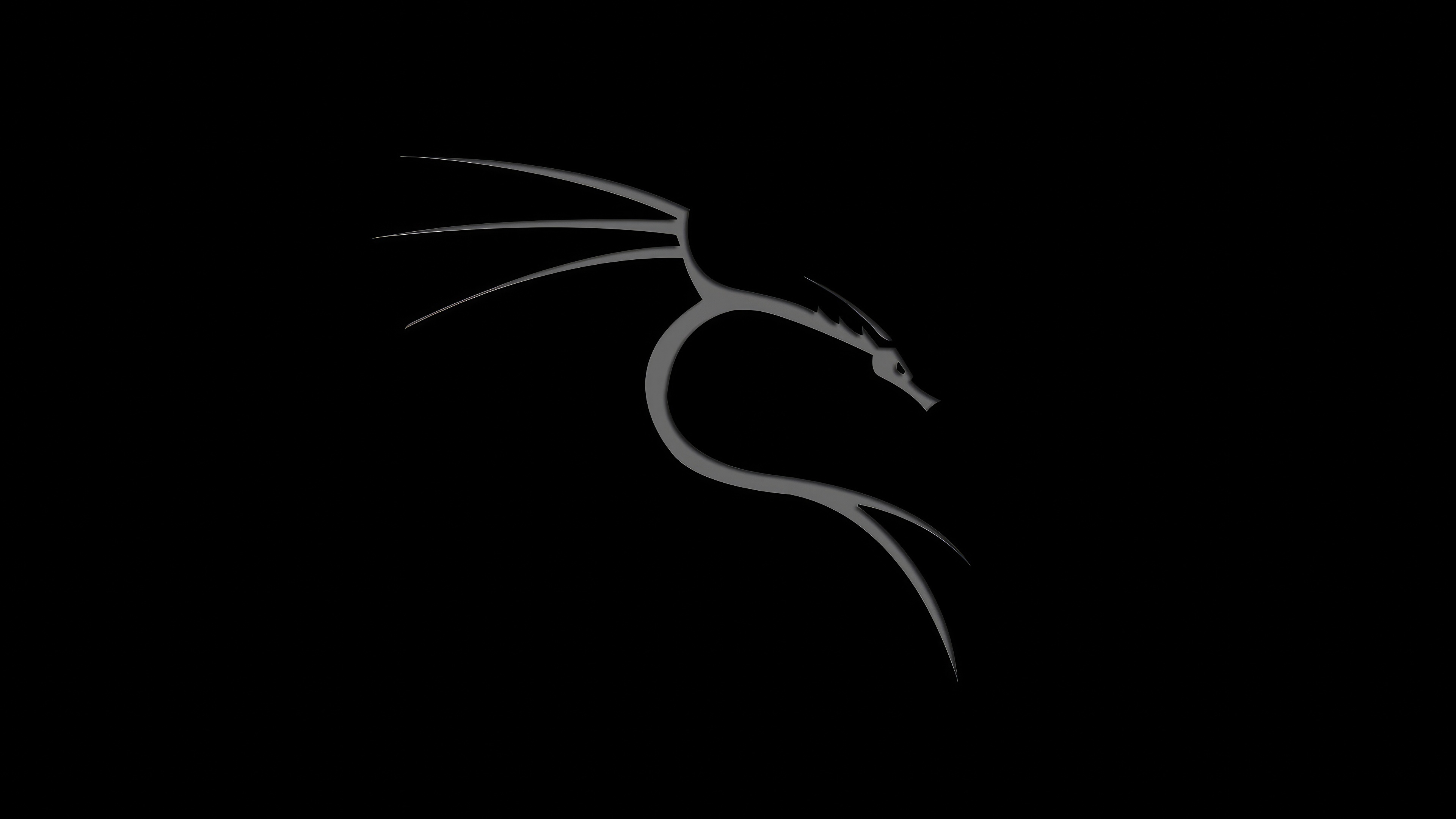 Kali Linux Dragon Logo HD Wallpaper