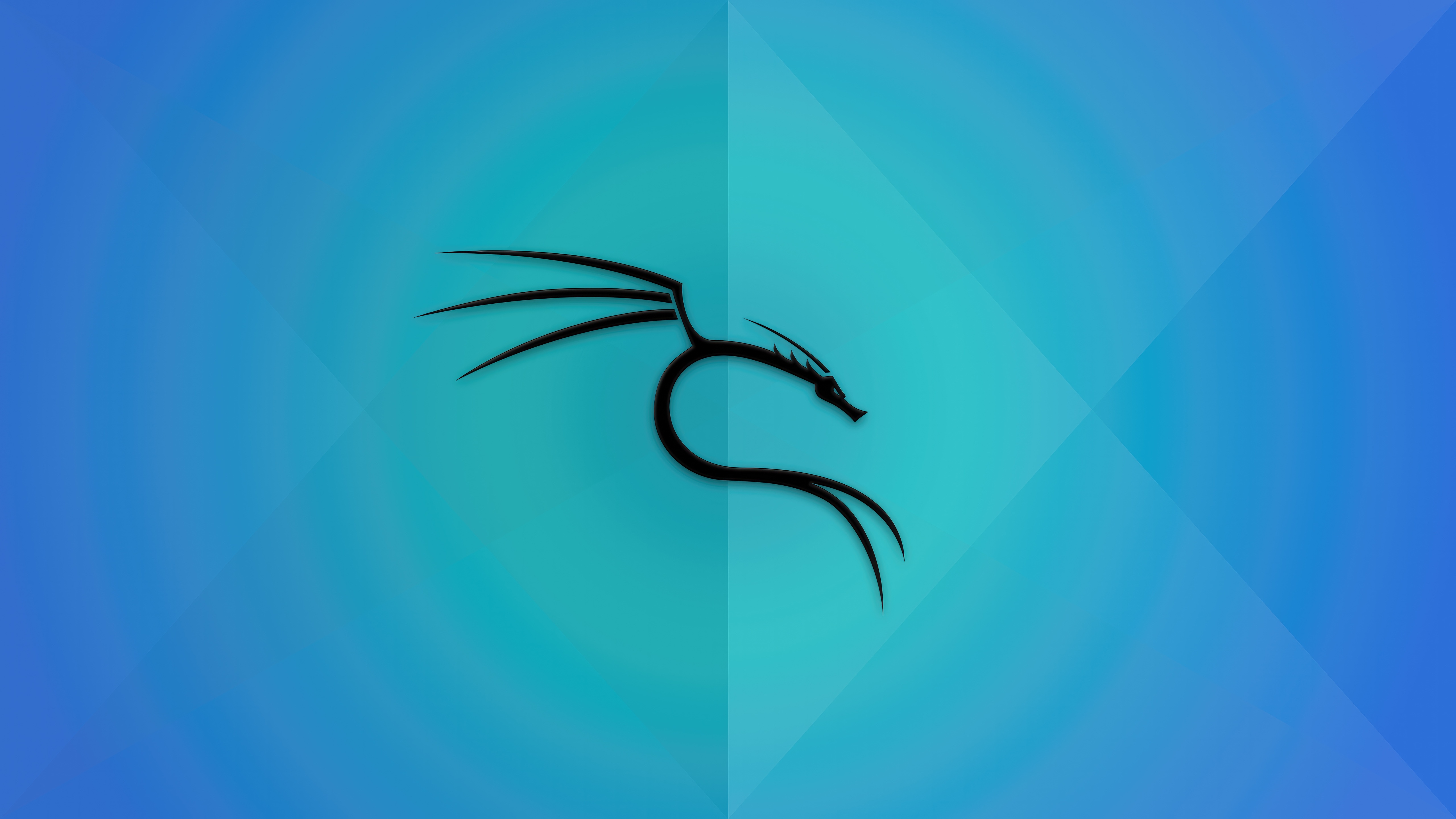 Kali Linux Dragon Logo on Blue Background HD Wallpaper