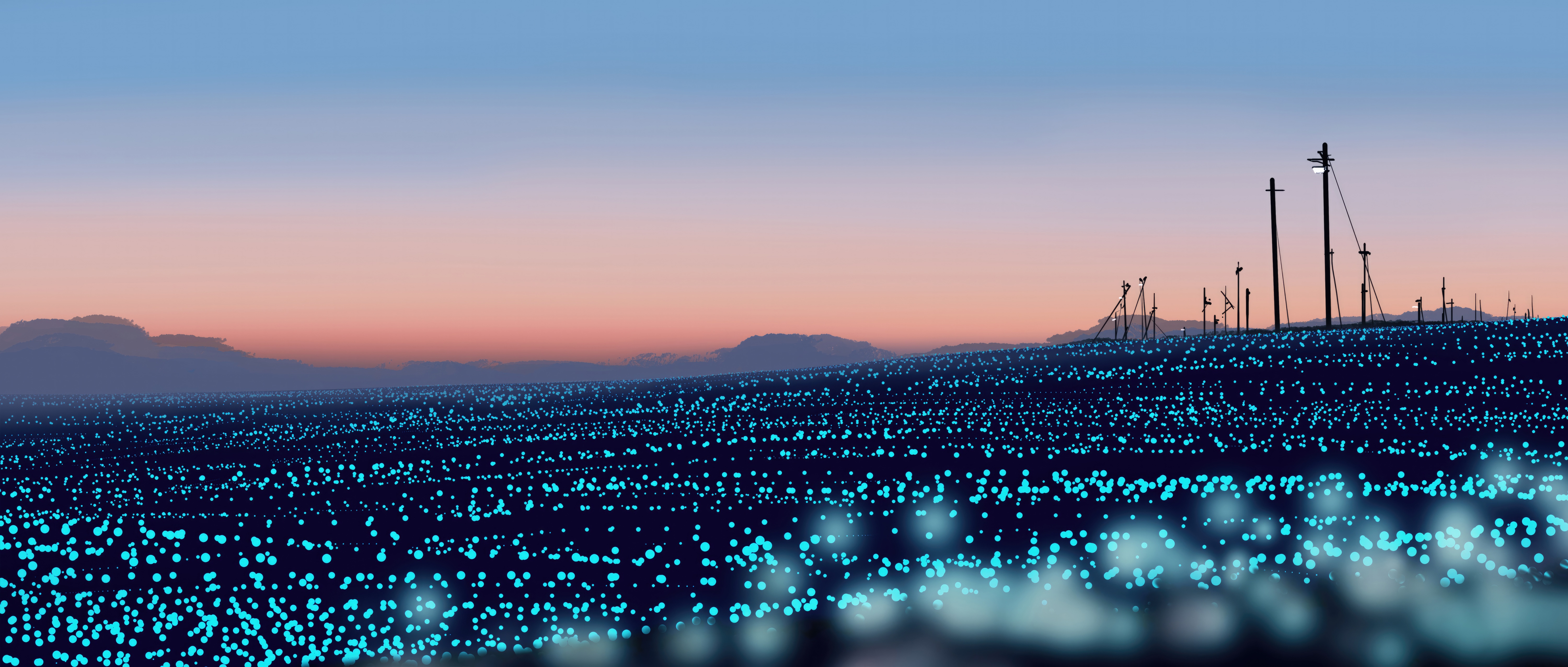 Glowing field with power lines at sunset HD Wallpaper