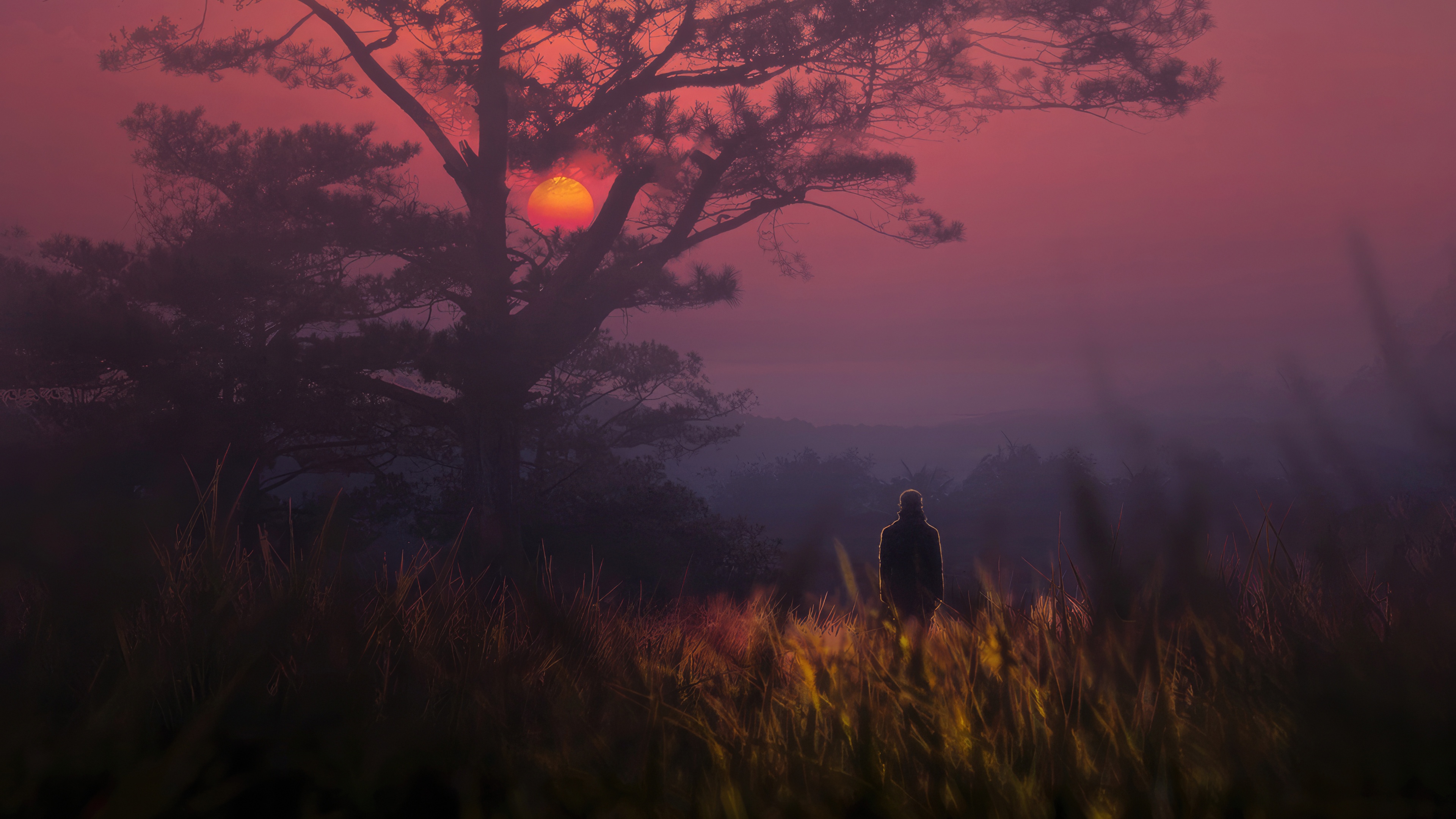 Person standing in a field at sunset HD Wallpaper