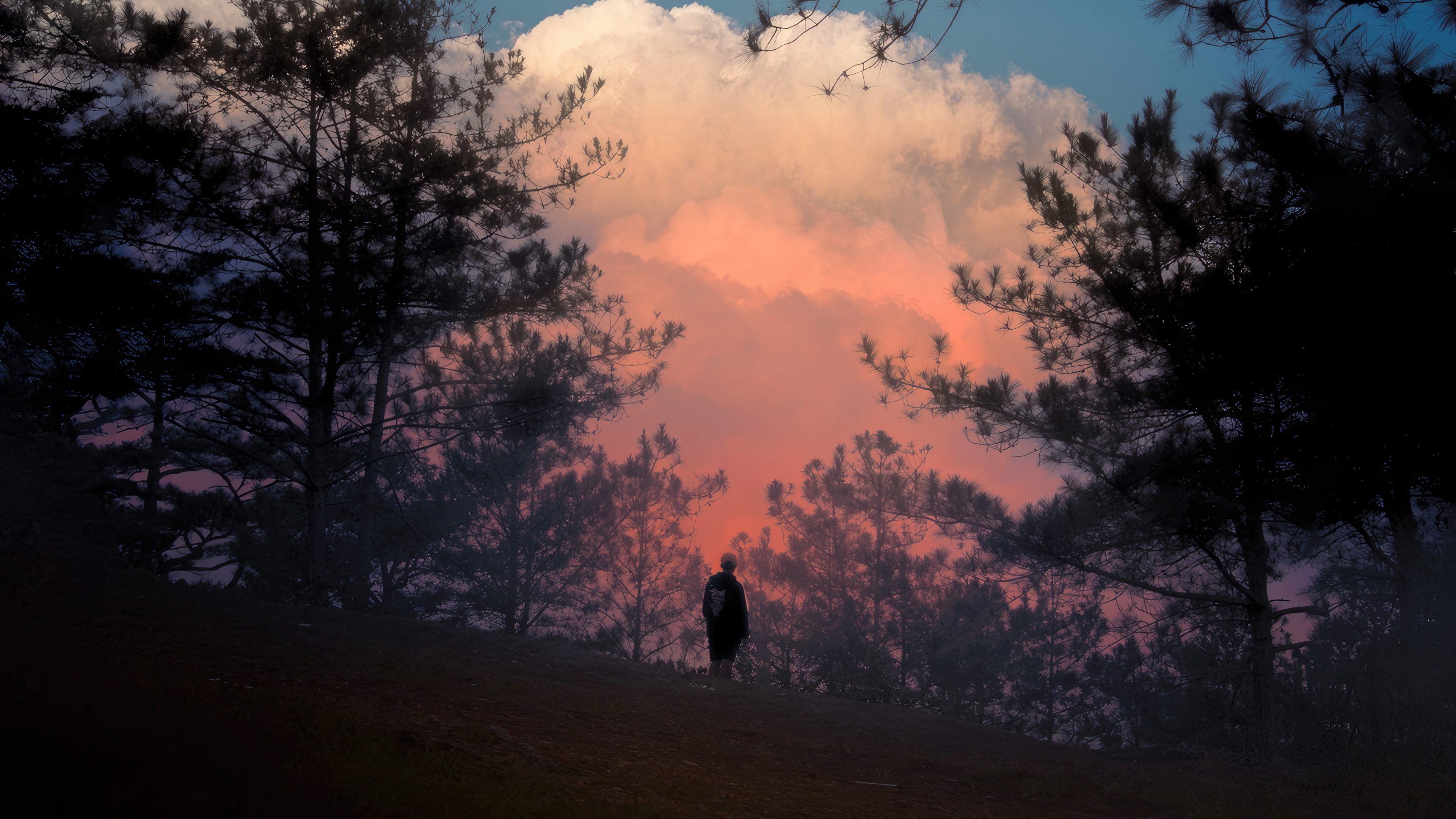 Person standing on a hill during sunset HD Wallpaper