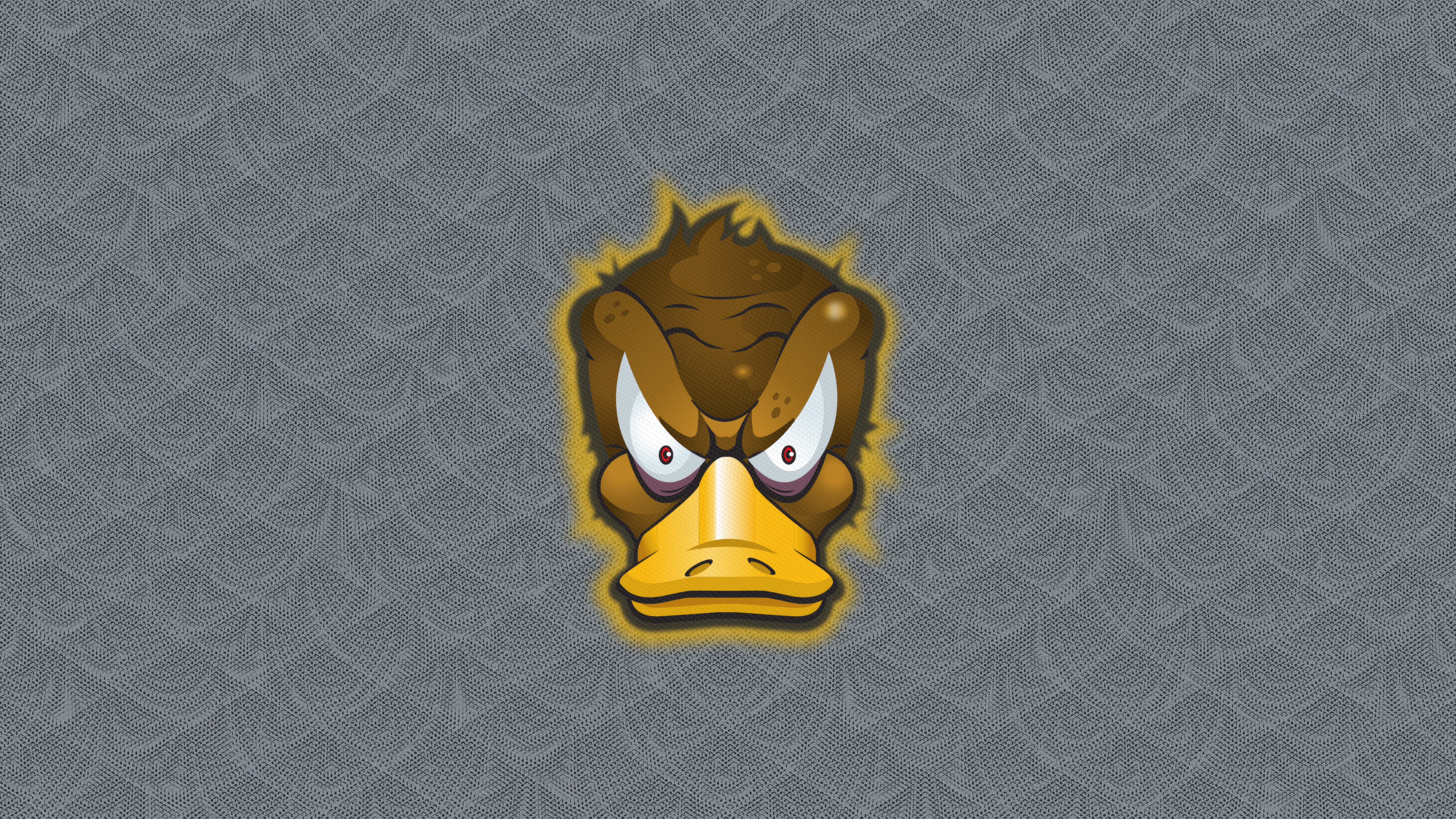 Rocky Duck Minimalist Cartoon Face HD Wallpaper