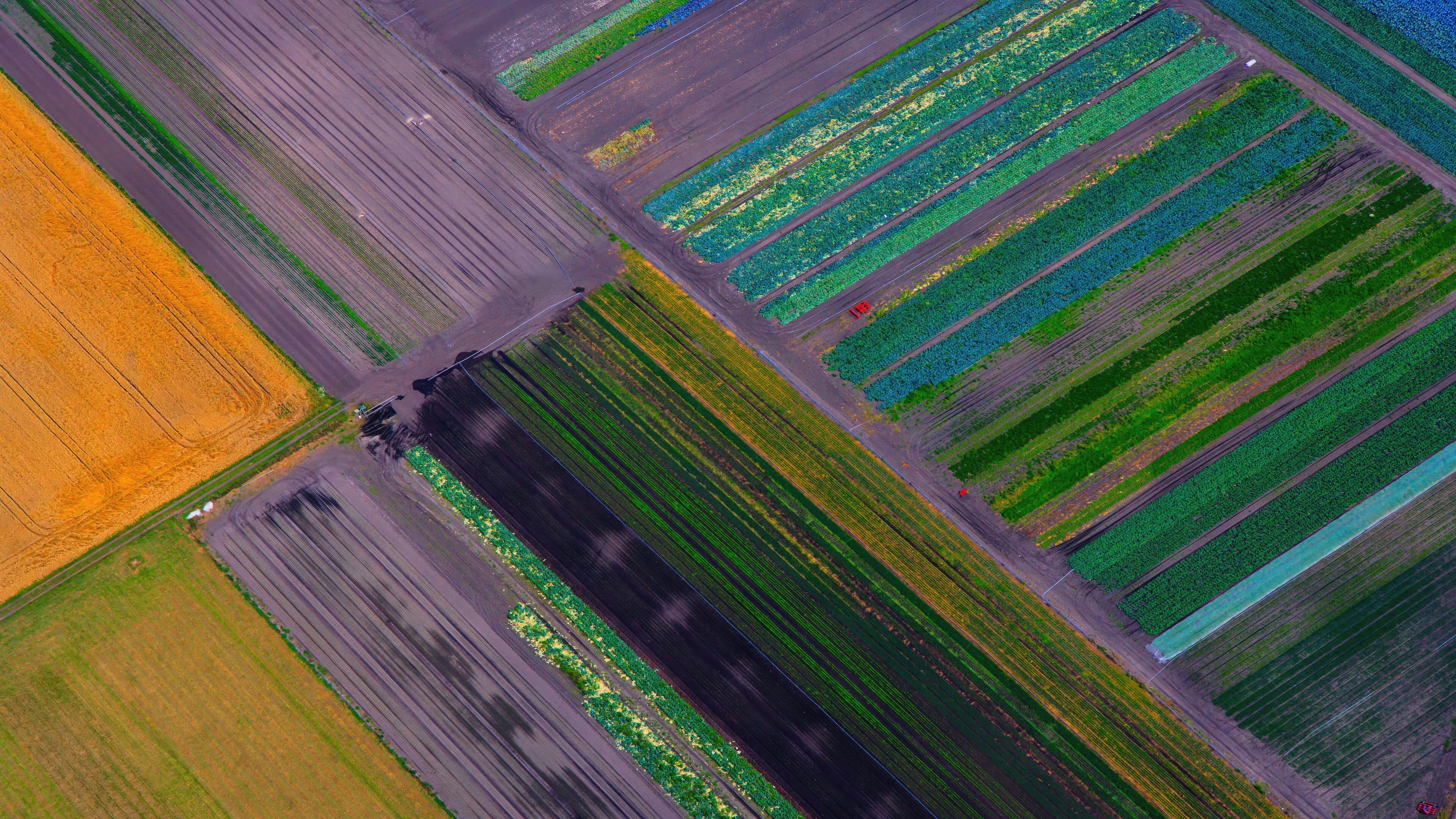 Aerial view of colorful agricultural fields HD Wallpaper