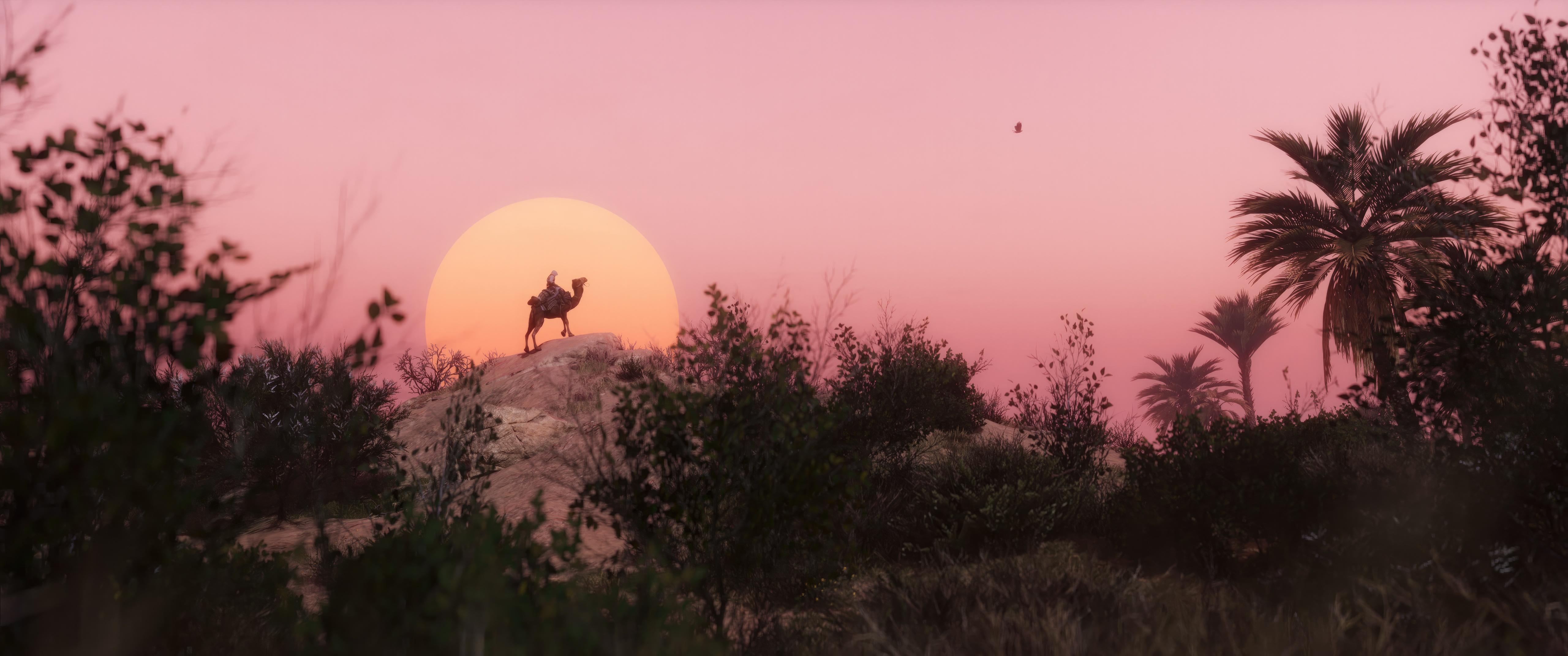 Assassin's Creed Mirage: Camel Rider at Sunset HD Wallpaper