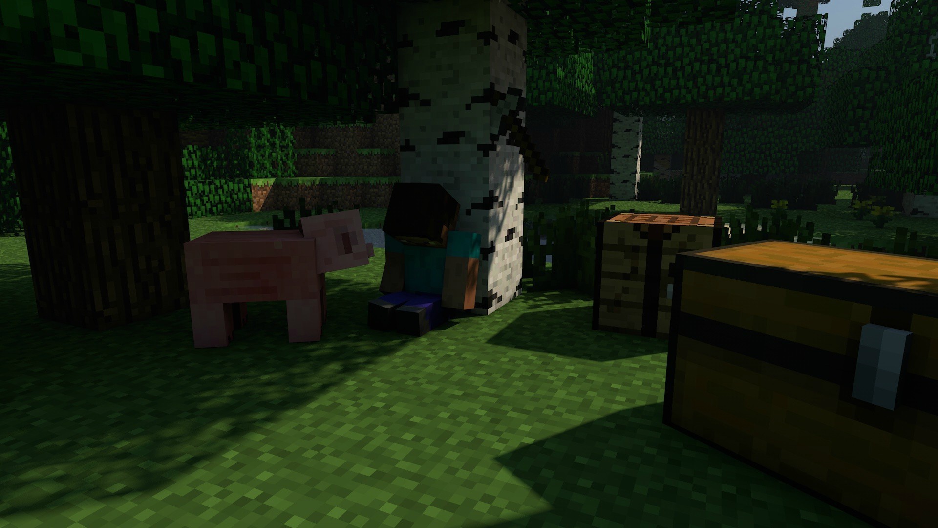 Steve and pig in Minecraft forest with chests HD Wallpaper