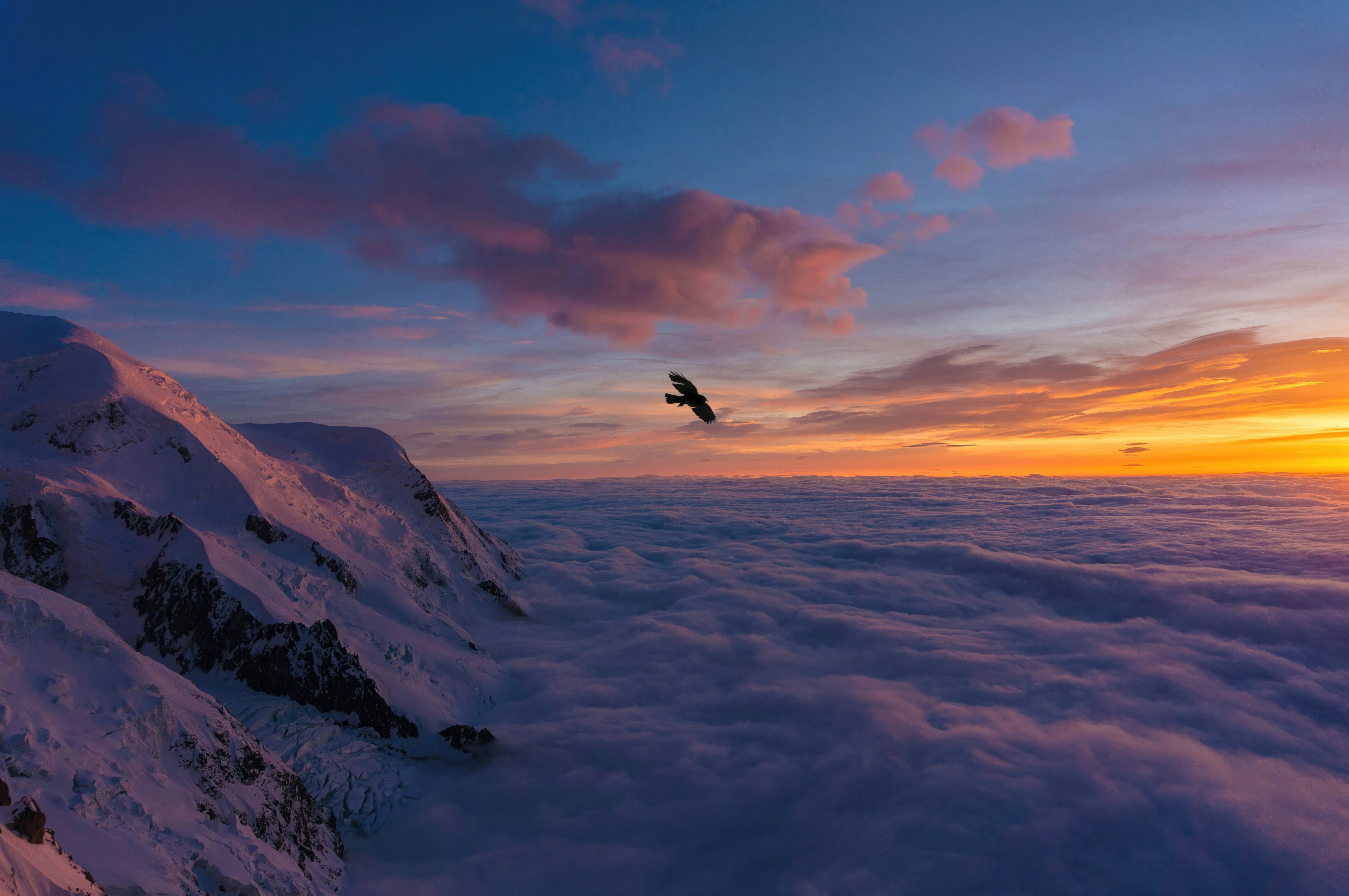 Bird soaring over clouds at sunset near snowy mountains HD Wallpaper