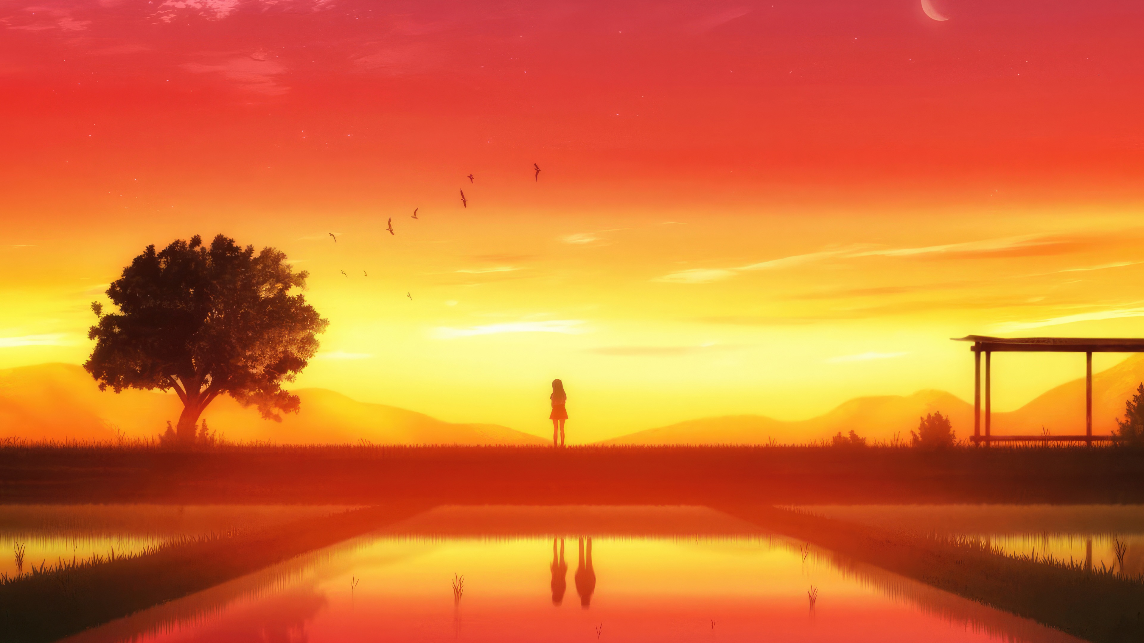 Girl Standing by a Tree at Sunset HD Wallpaper