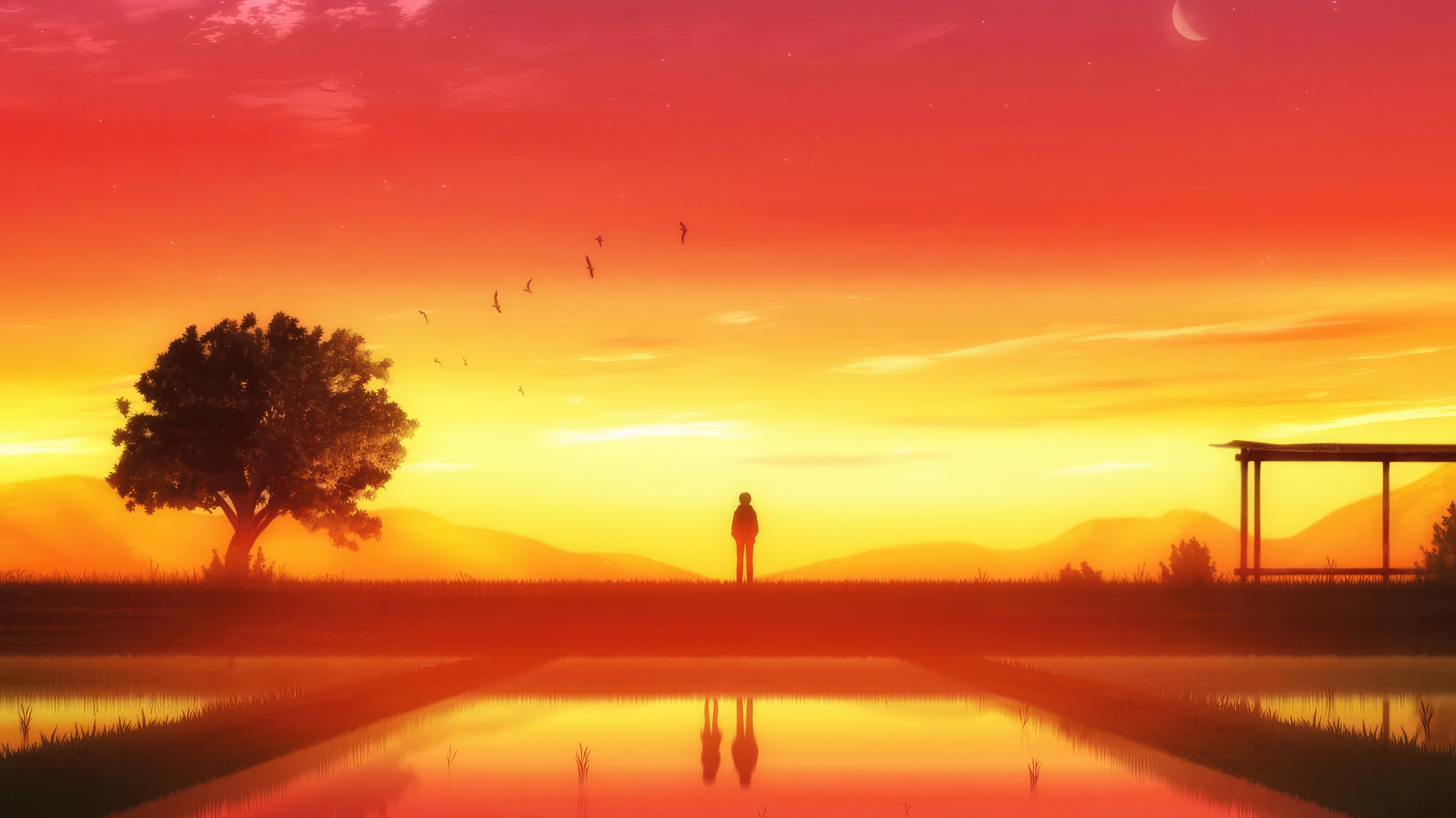 Silhouette of a person standing by a tree at sunset HD Wallpaper