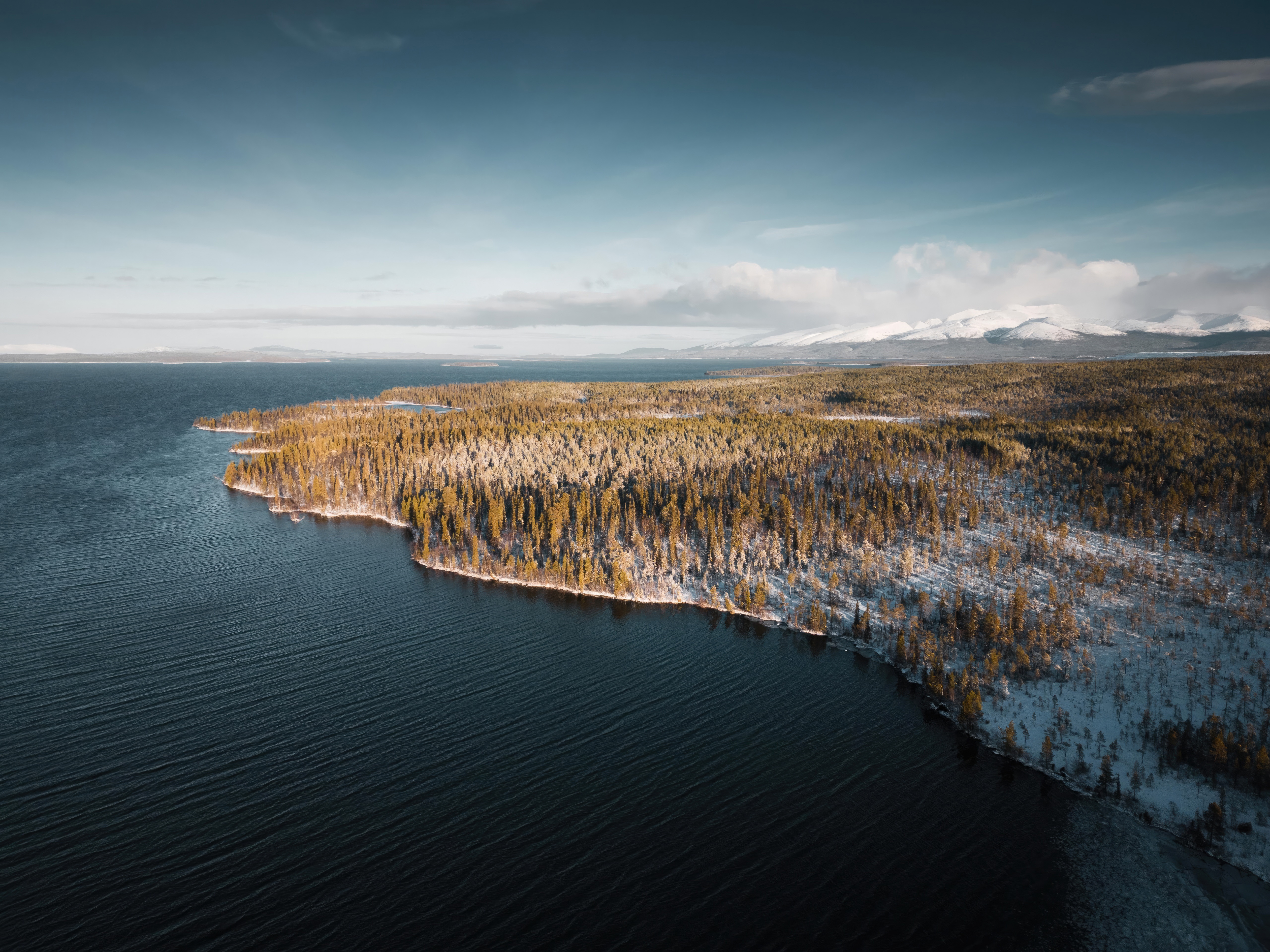 Aerial view of a winter forest and sea HD Wallpaper