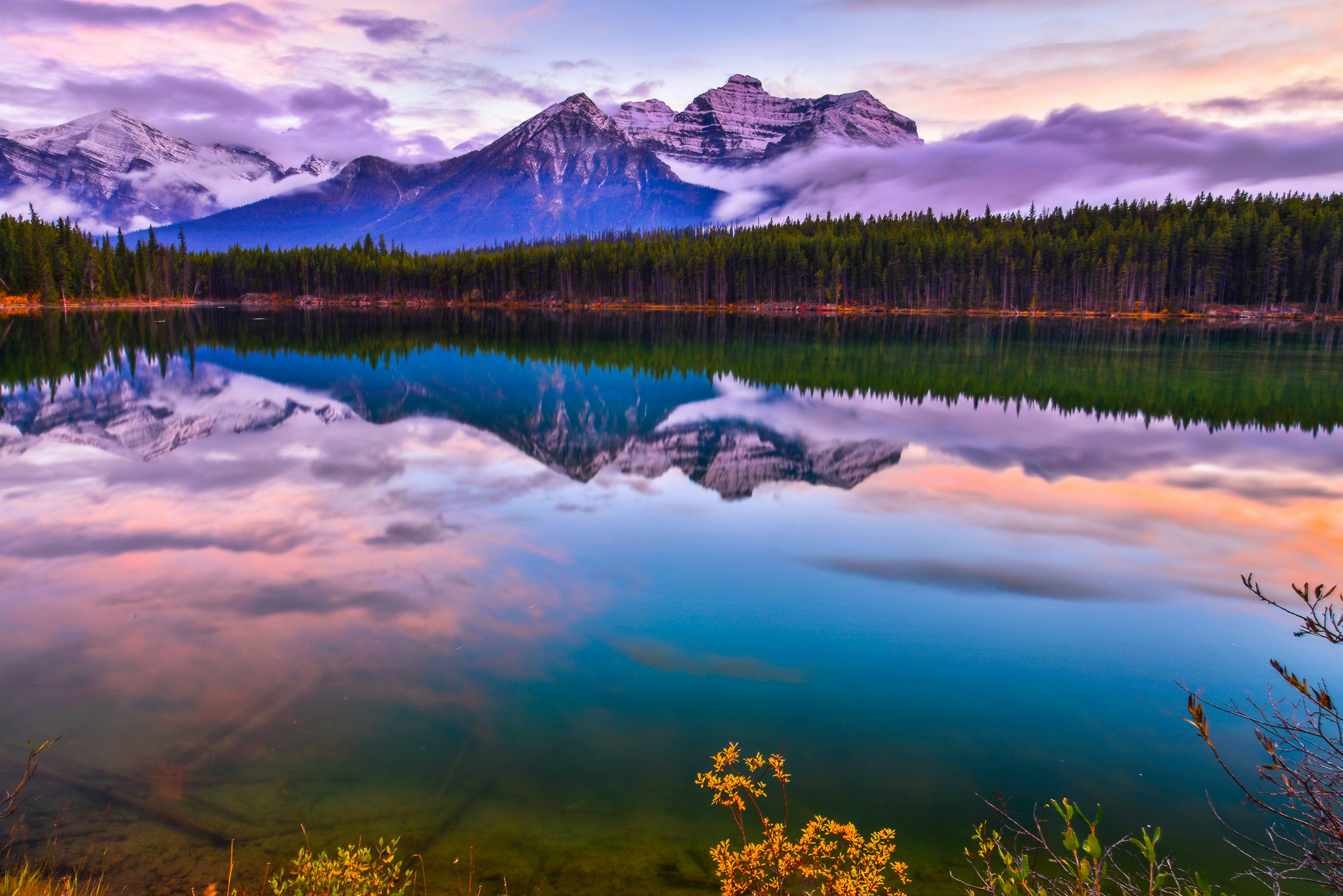 Mountains reflected in a lake with pine trees HD Wallpaper