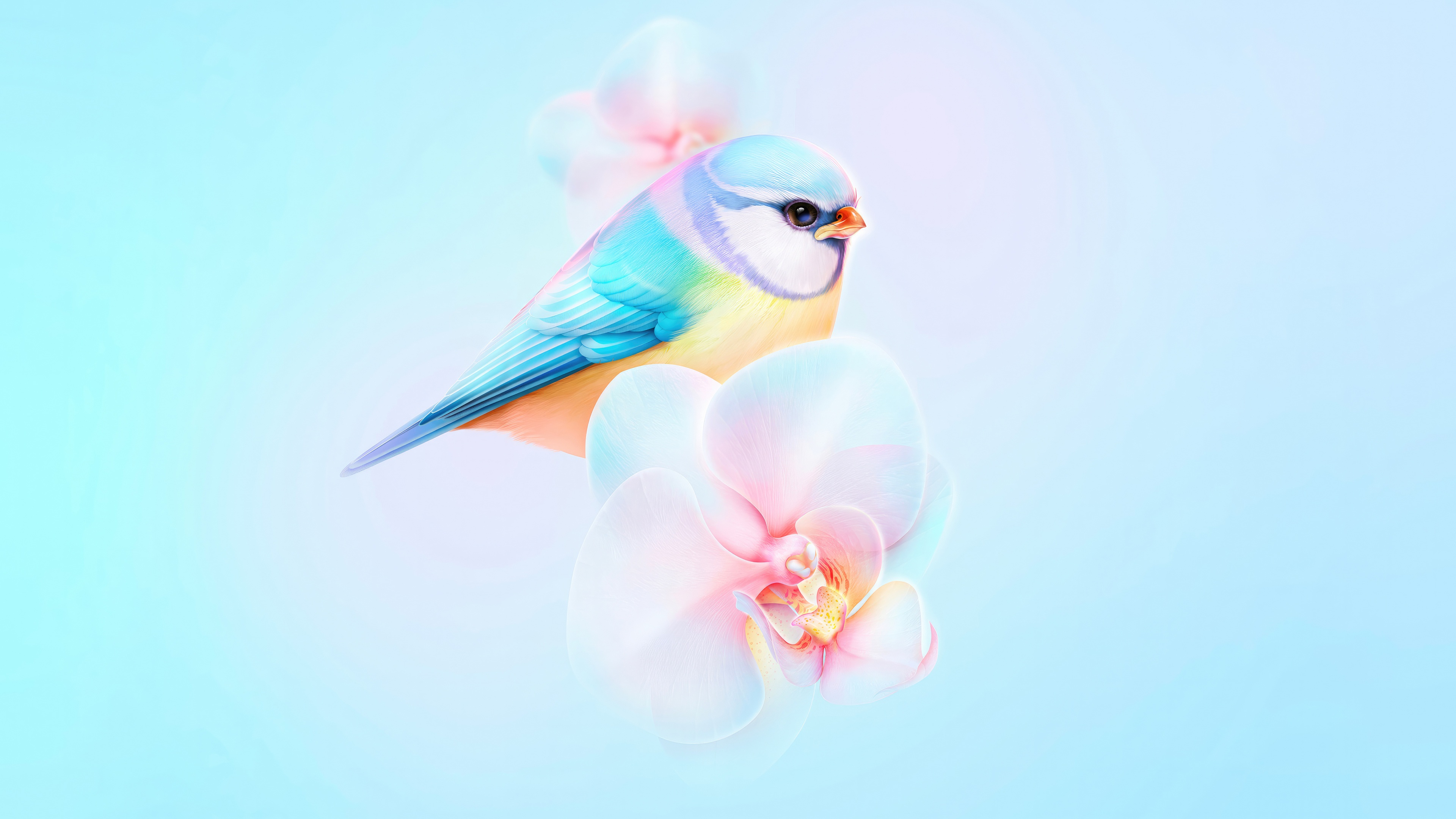 A blue bird with colorful feathers sits on orchids HD Wallpaper