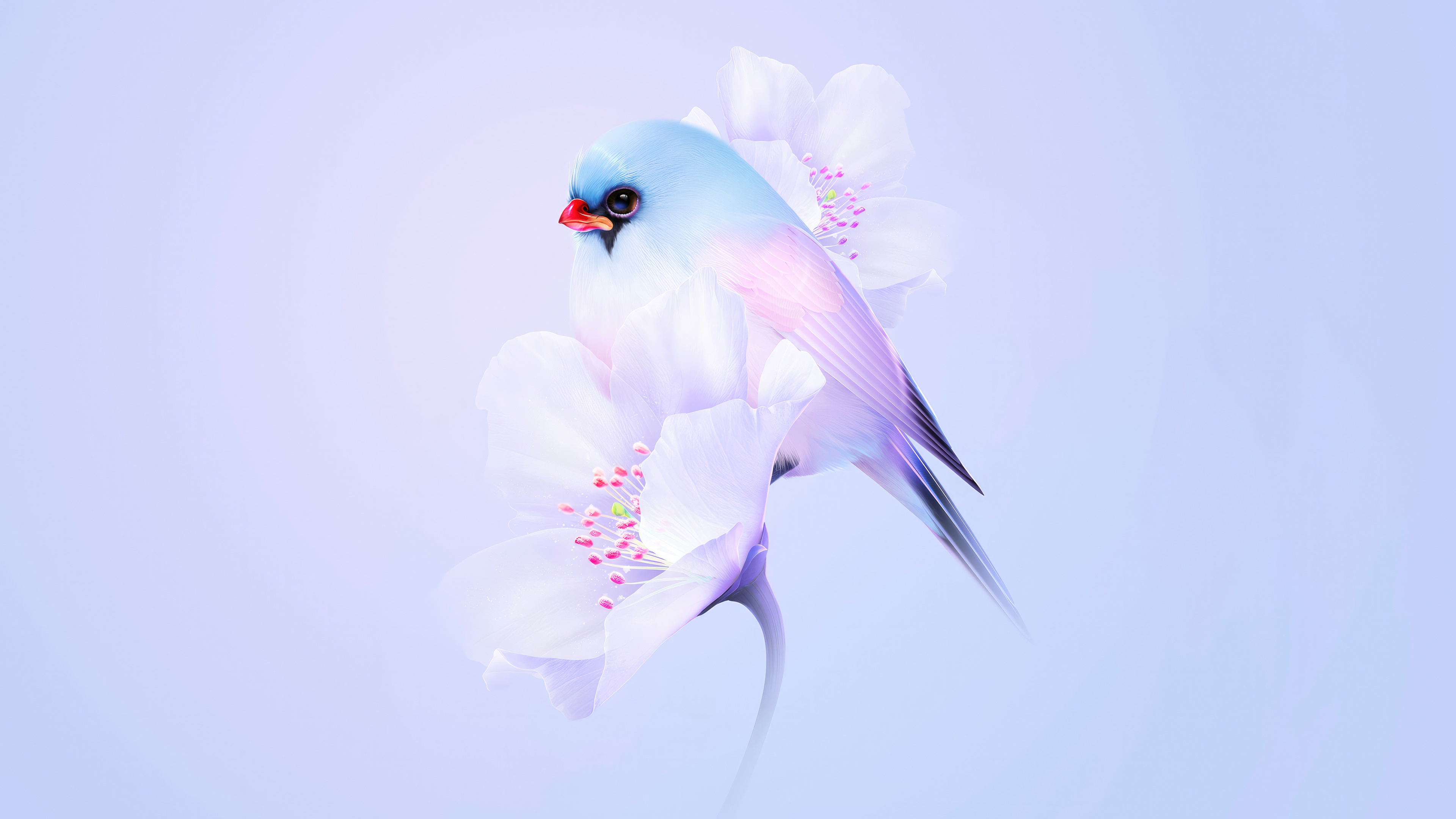 A light blue bird perched on white flowers HD Wallpaper