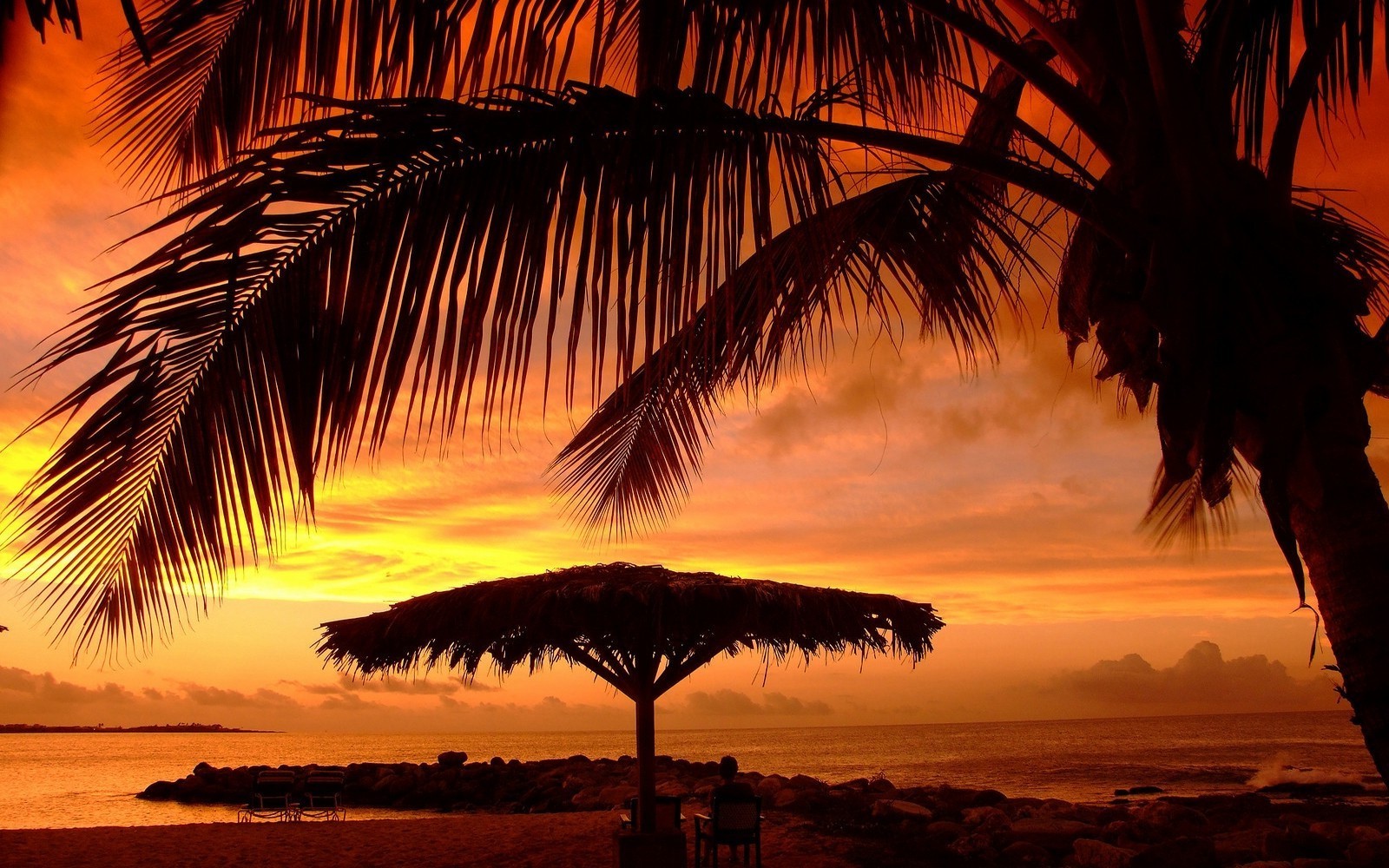 Tropical beach sunset with palm trees and umbrella HD Wallpaper