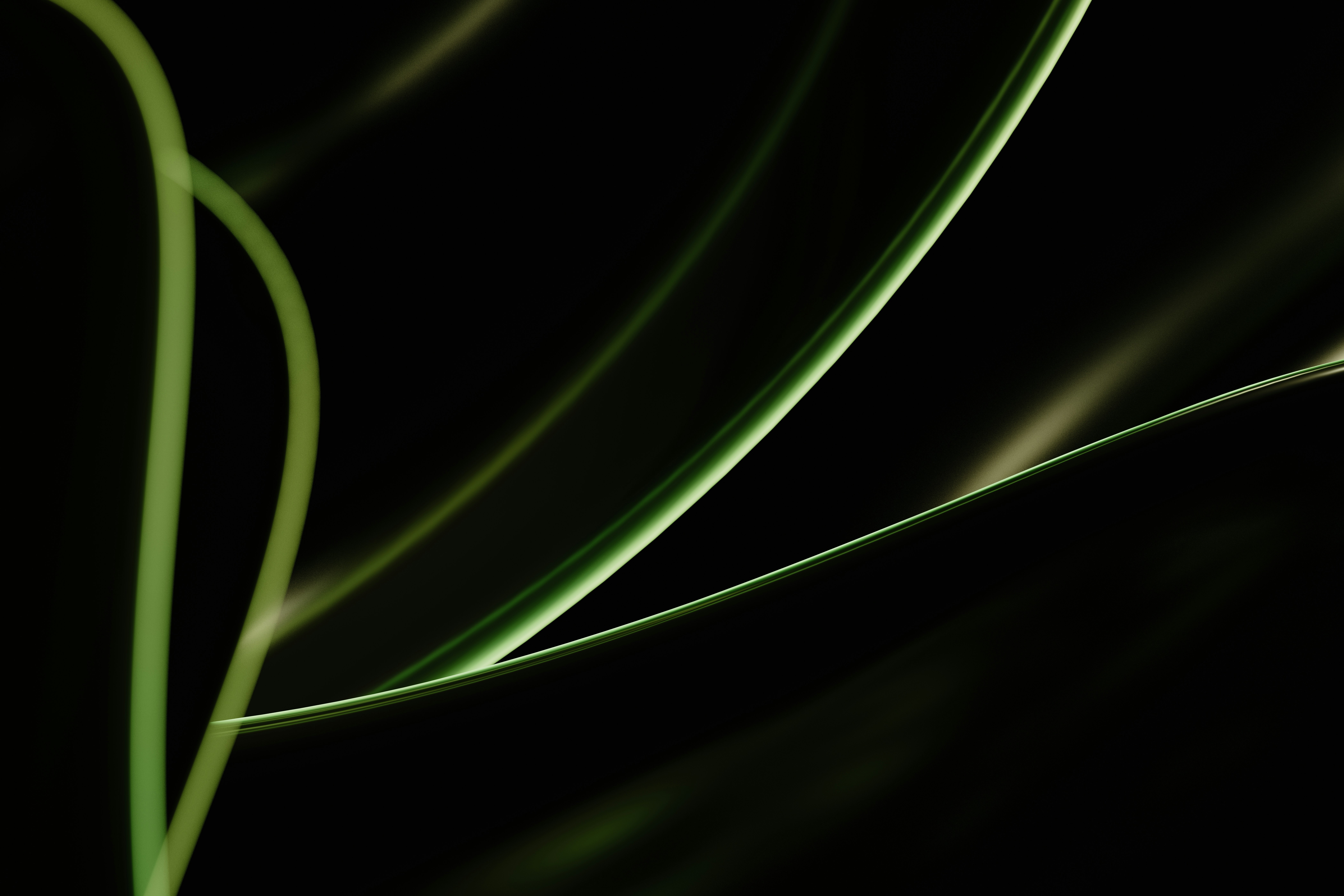 Green plant stems against a dark background HD Wallpaper