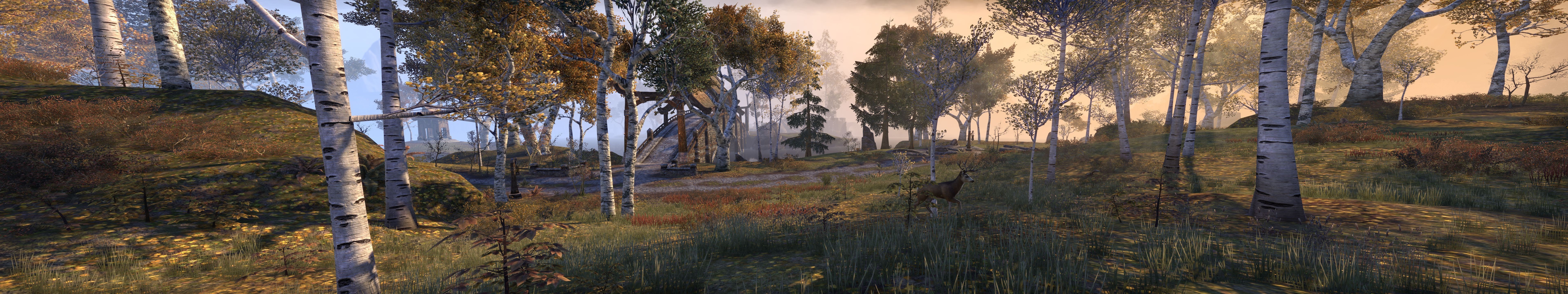 the elder scrolls online quadruple monitors wildlife forest HD Wallpaper
