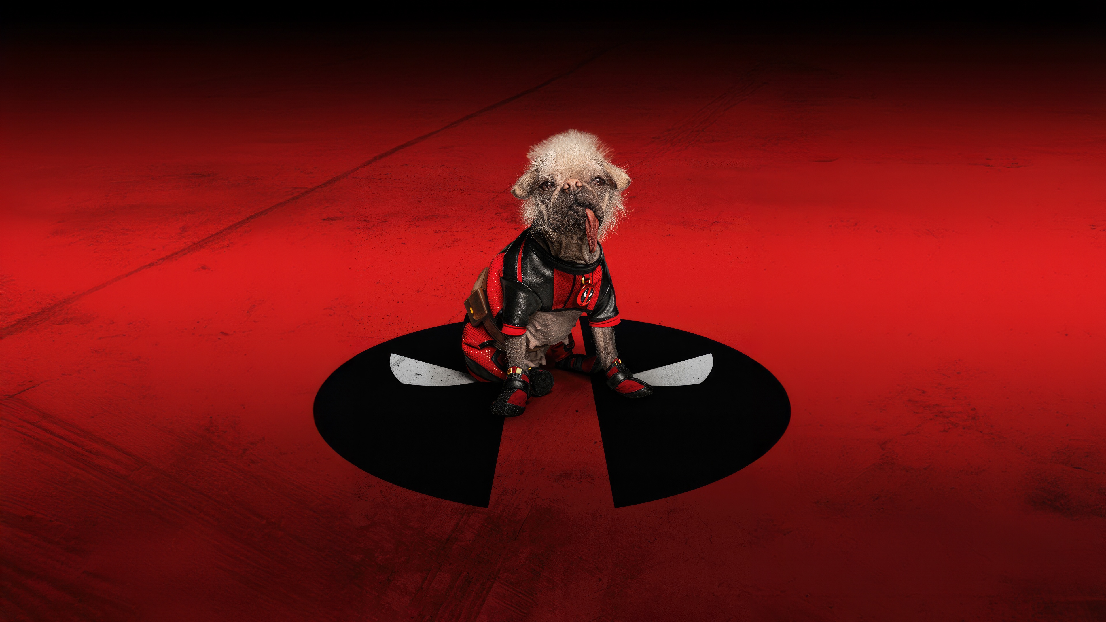 Dogpool in Deadpool and Wolverine costume HD Wallpaper