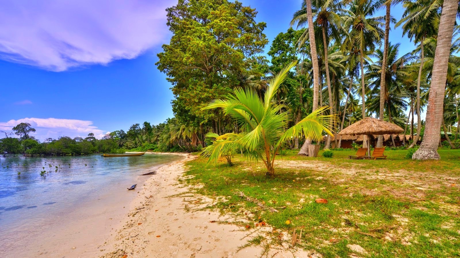 Tropical beach with palm trees and calm sea HD Wallpaper