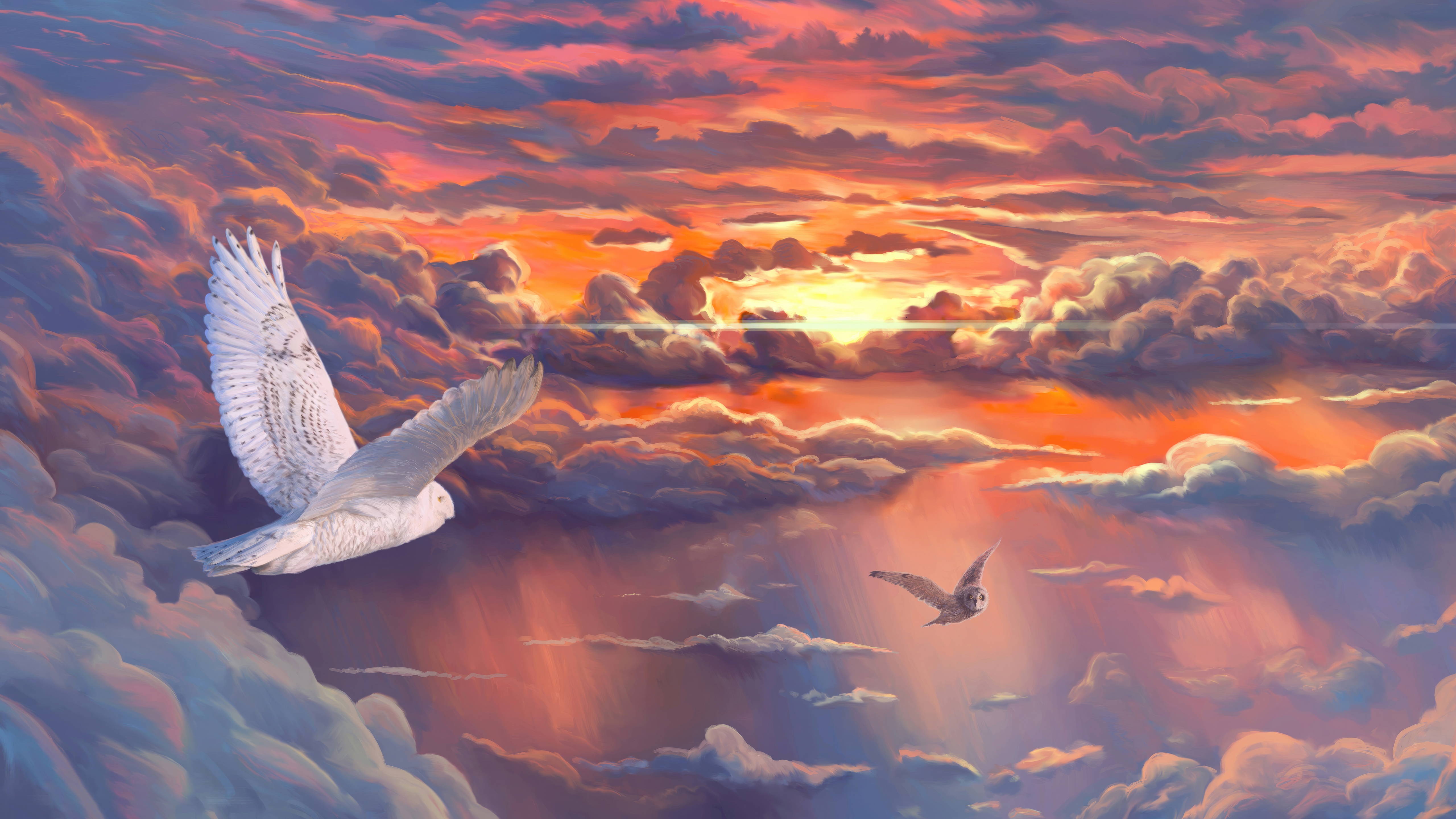 Two owls soaring through a sunset sky HD Wallpaper