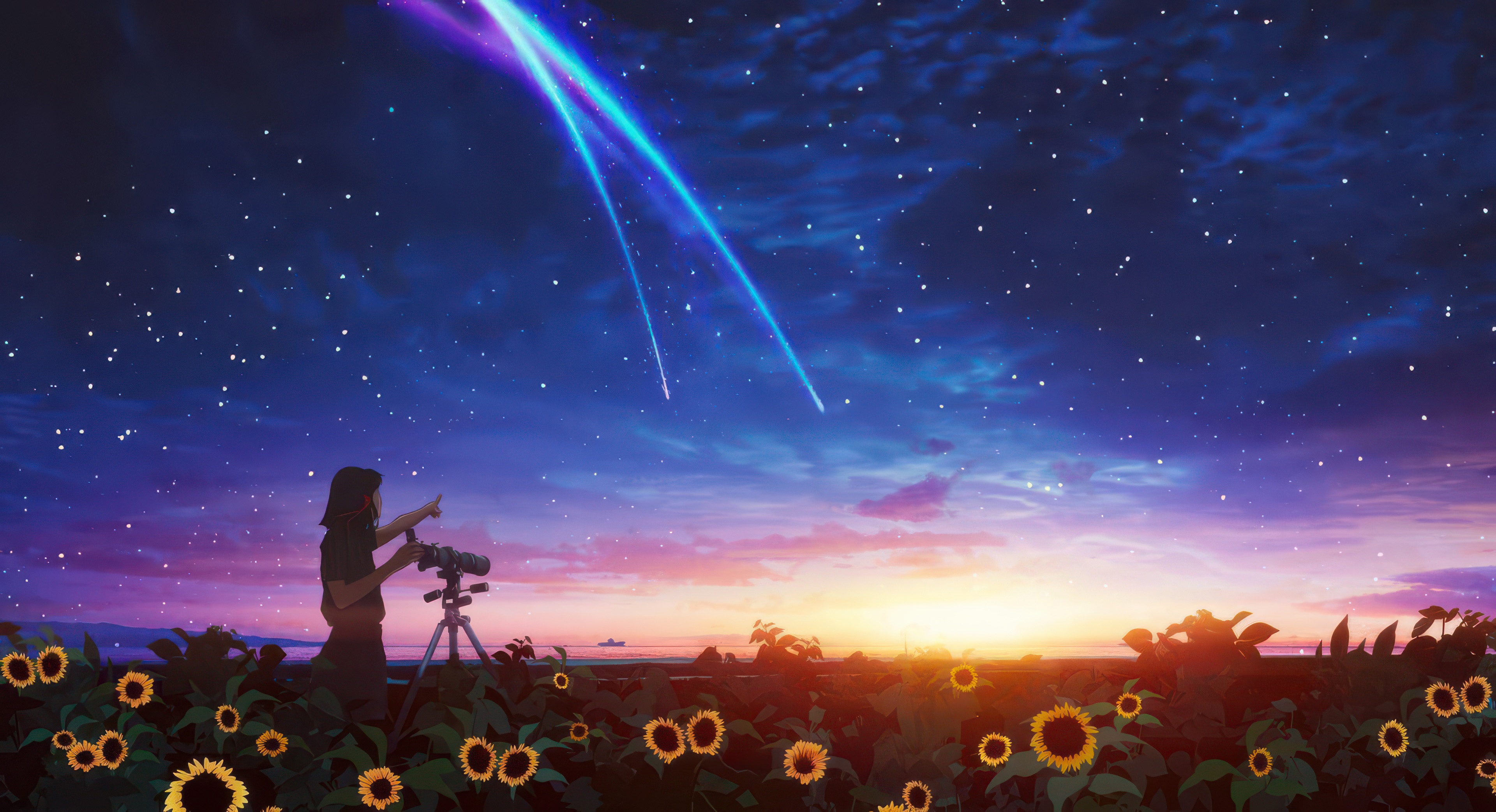 Girl Stargazing in Sunflower Field with Meteor Shower HD Wallpaper