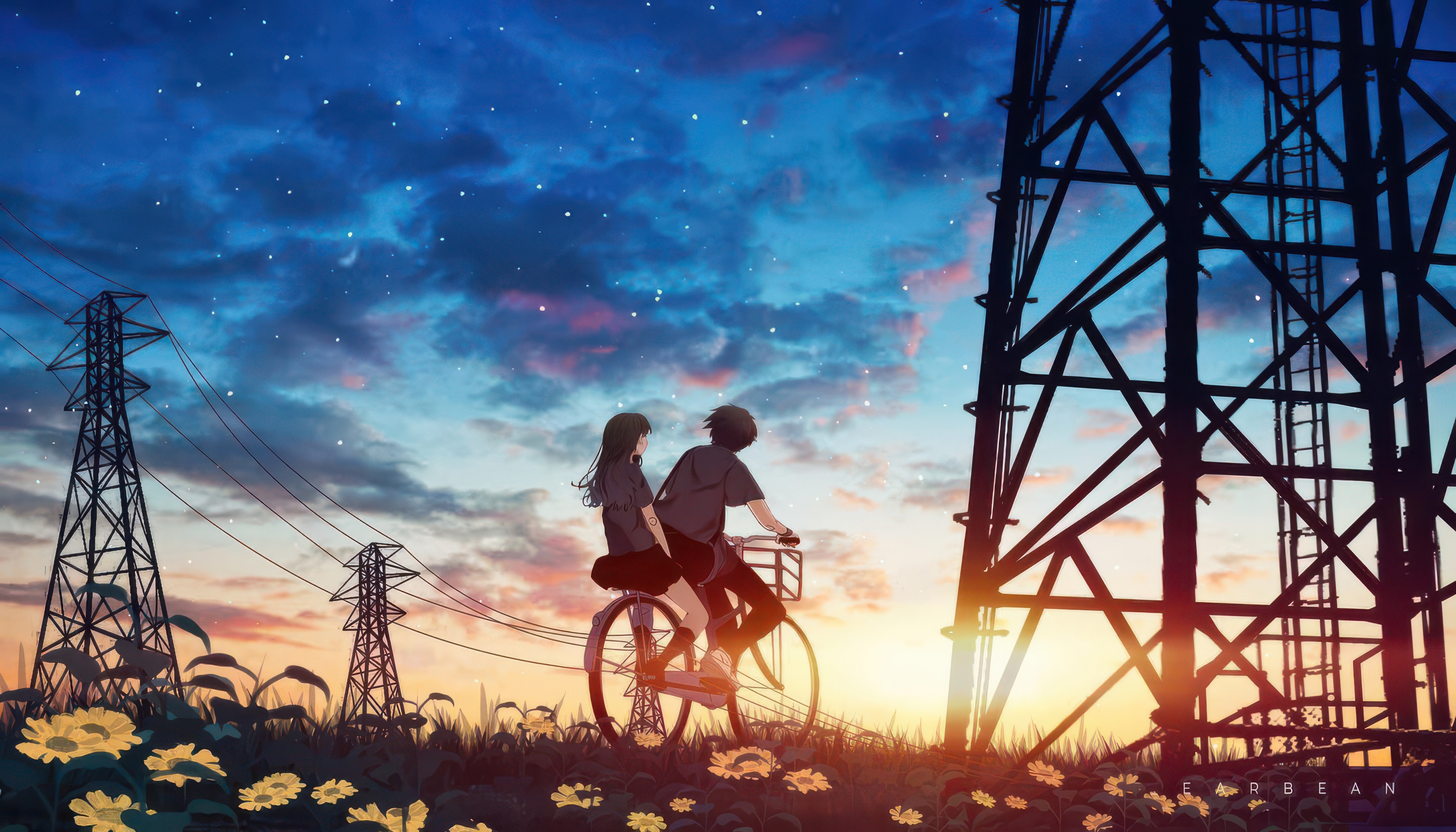 Couple riding a bicycle at sunset with power lines HD Wallpaper
