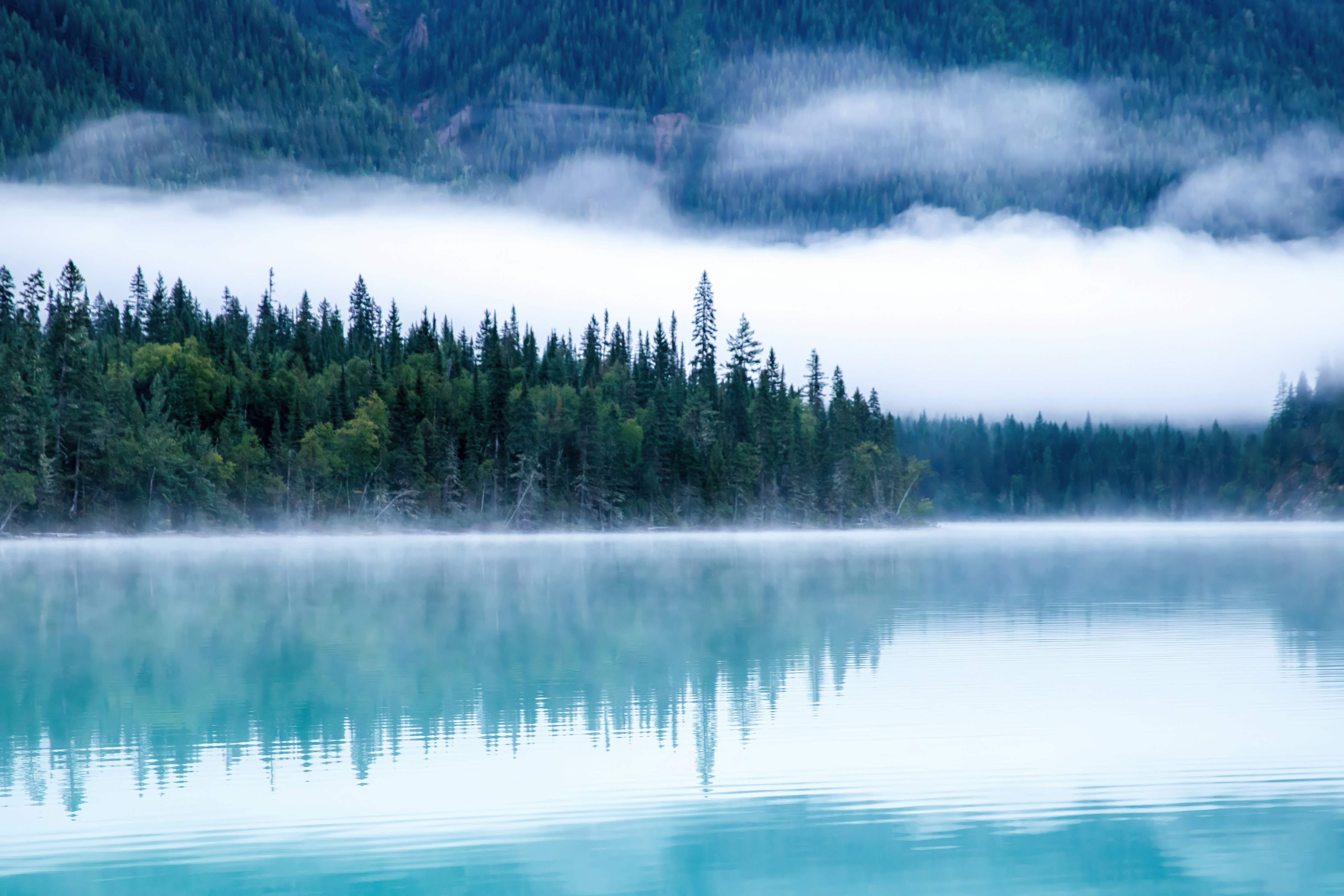 Misty Lake with Forest and Mountains HD Wallpaper