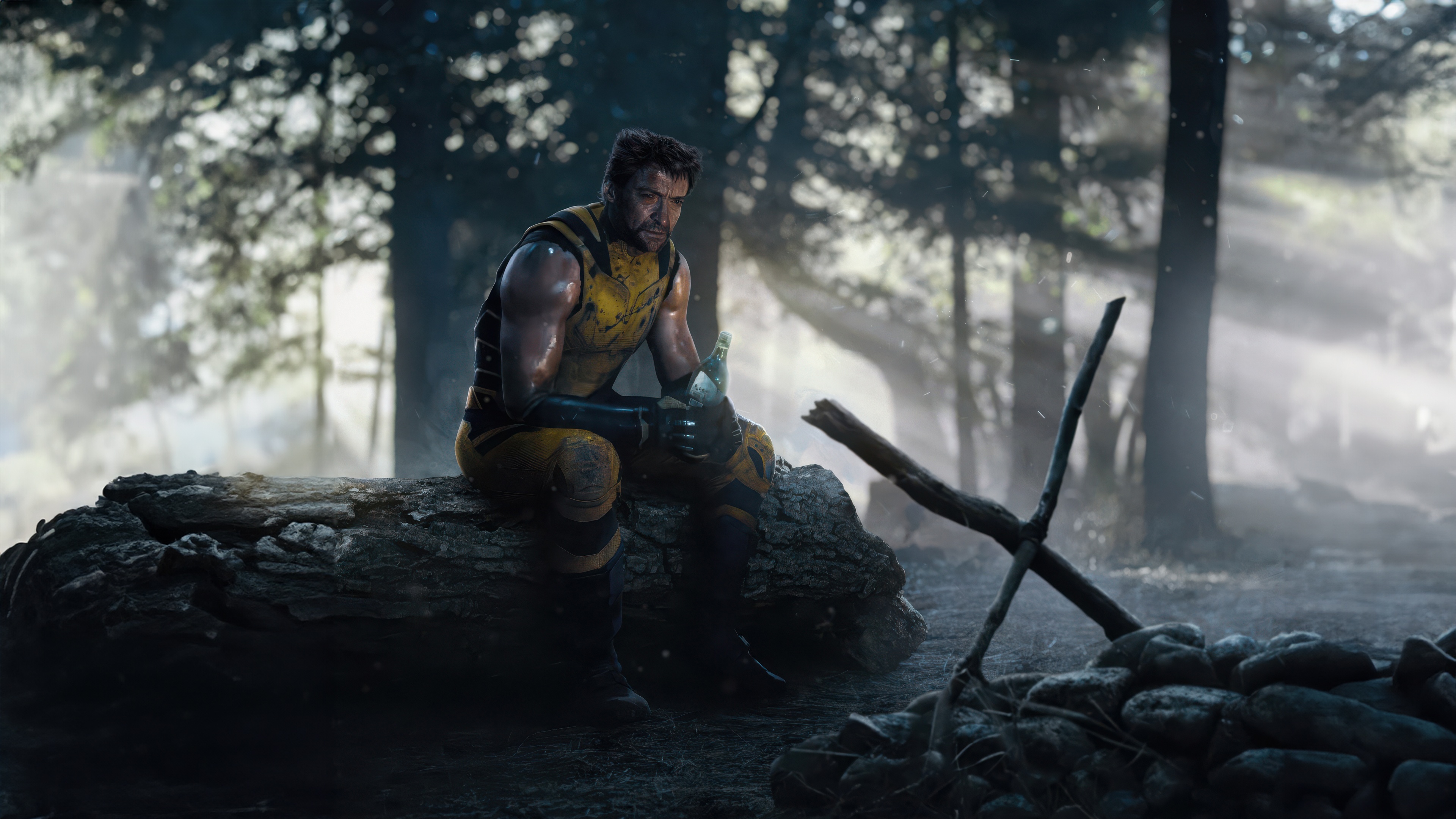 Wolverine sitting on a log in a forest HD Wallpaper