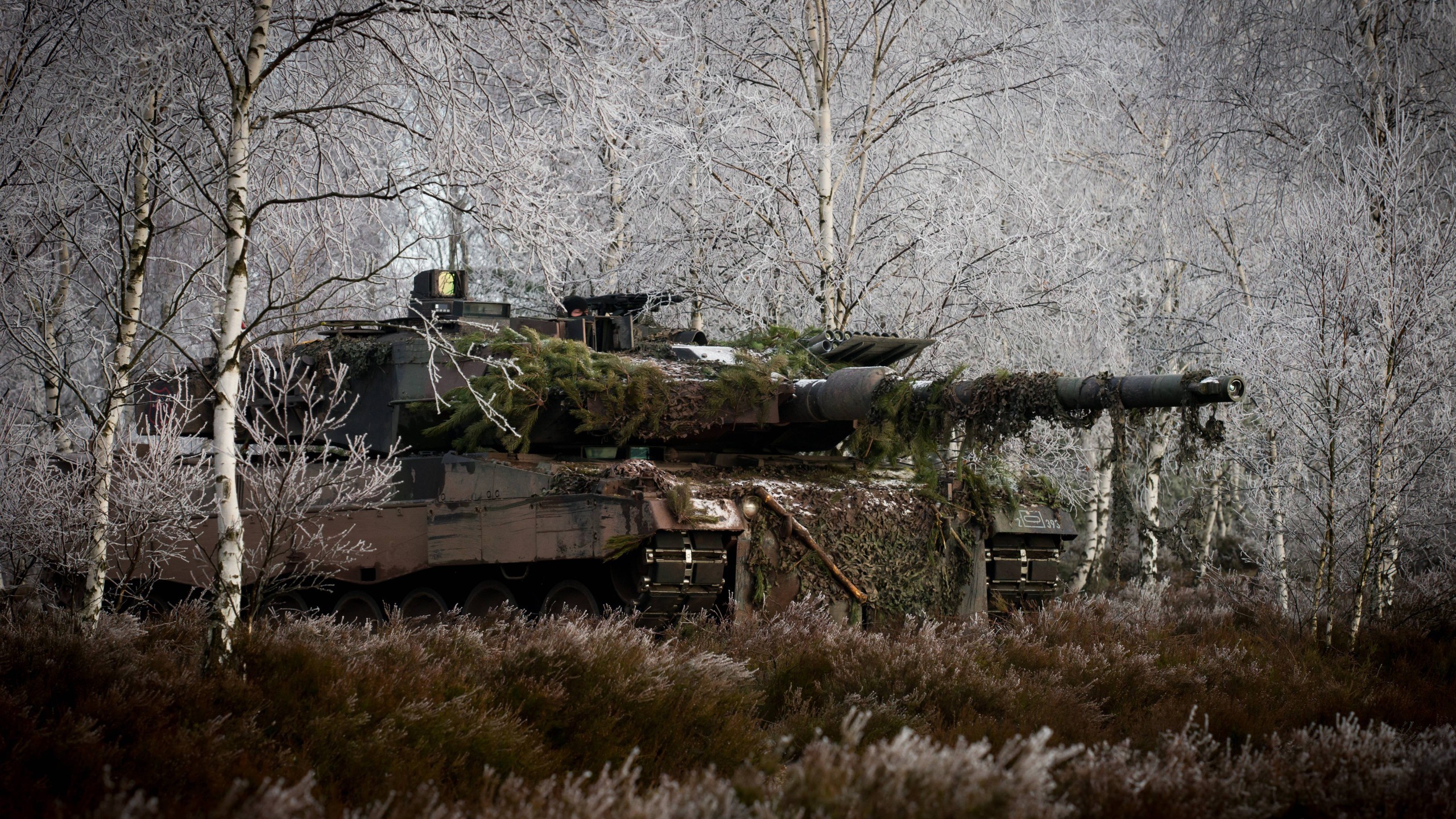 Leopard 2 Tank Camouflaged in Winter Forest HD Wallpaper