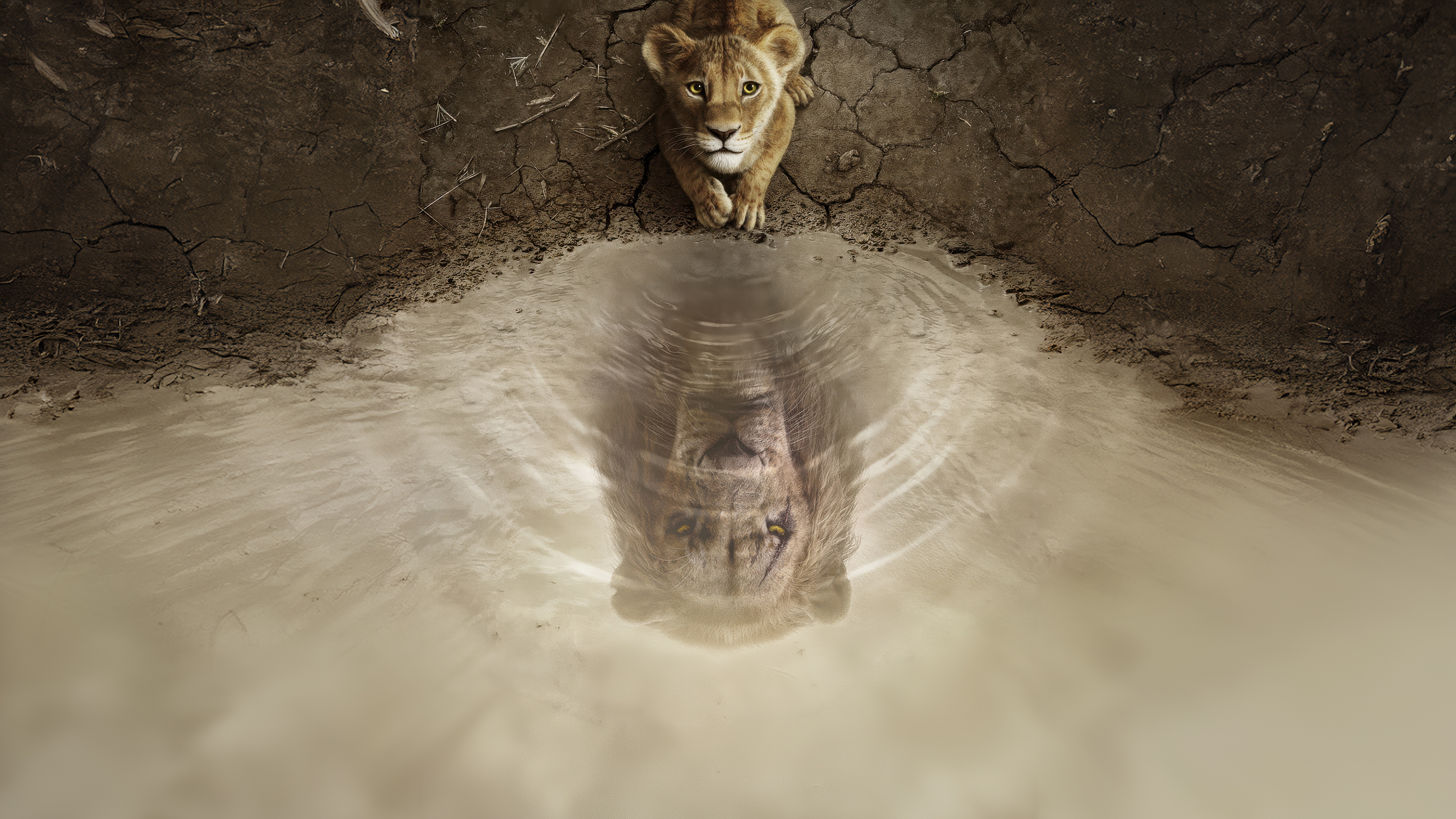 The Lion King Mufasa Reflection HD Wallpaper