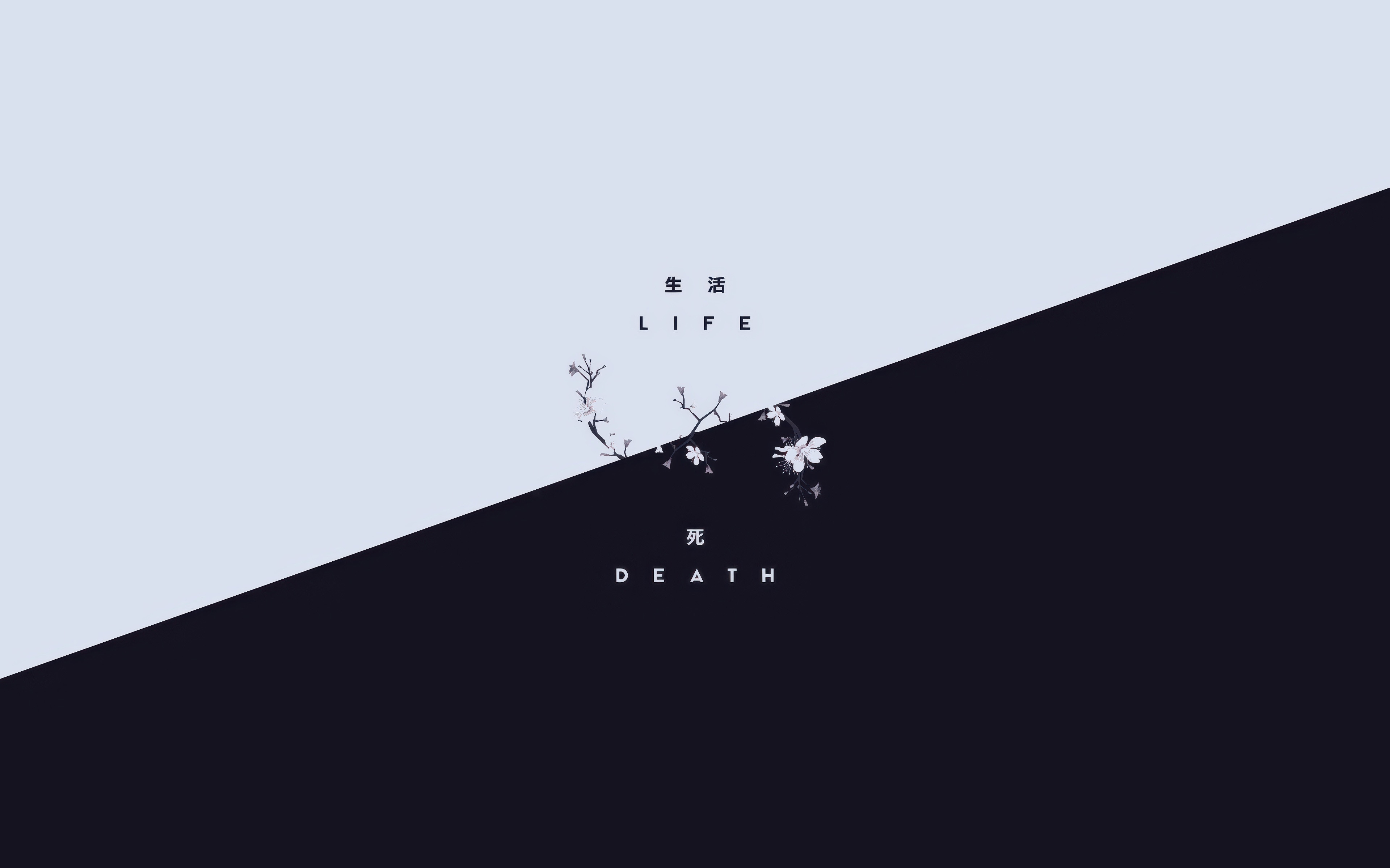 Life and Death Minimalist Design with Cherry Blossoms HD Wallpaper