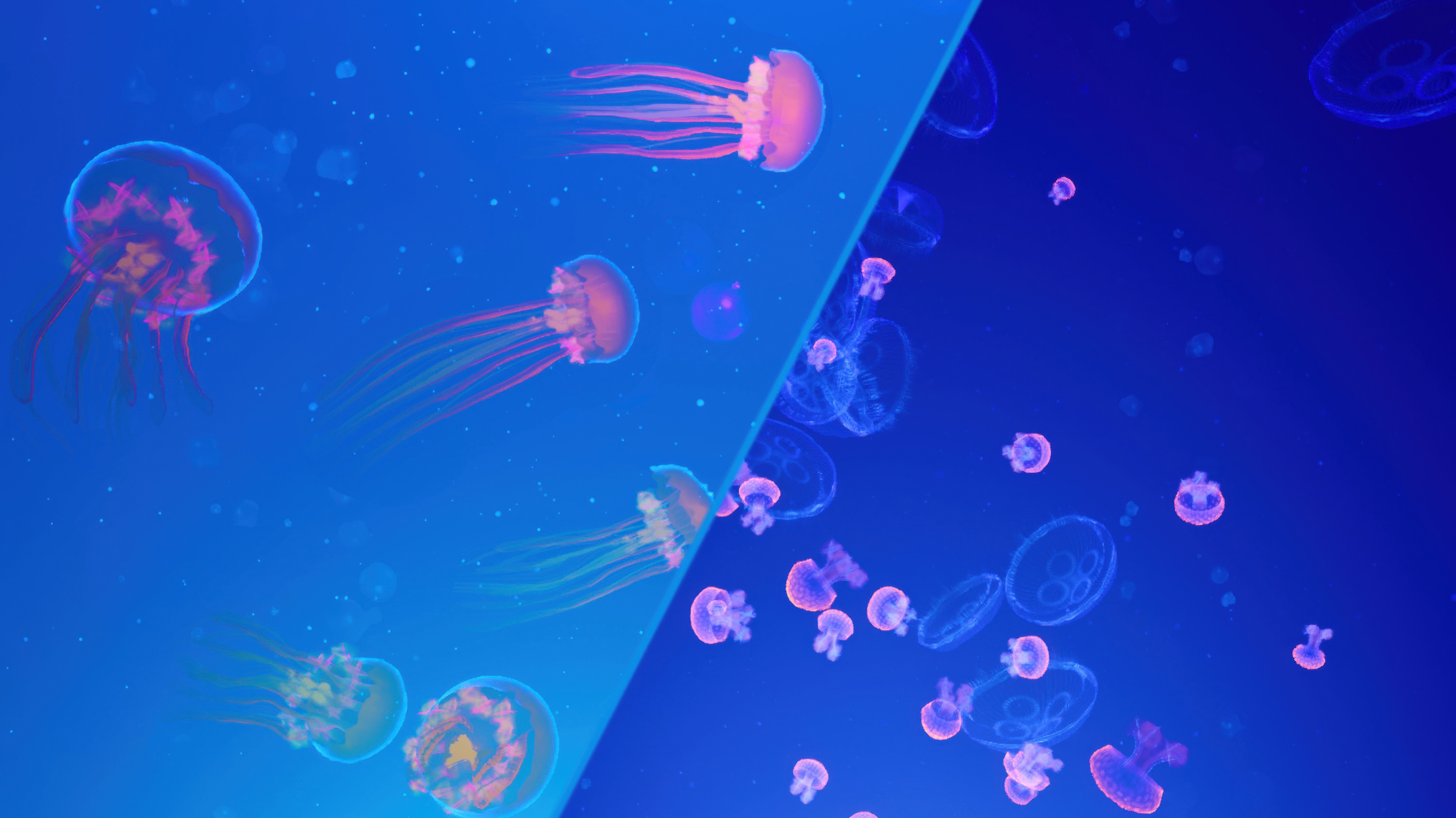 Jellyfish Abstract HD Wallpaper