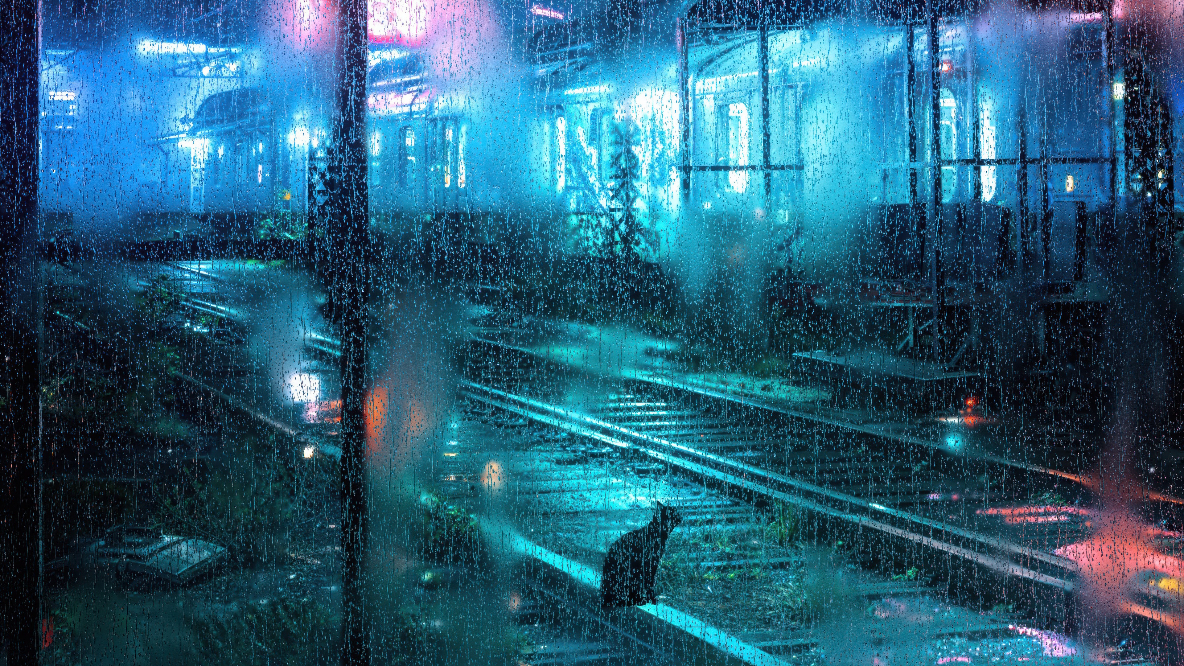 Black cat on train tracks in the rain HD Wallpaper