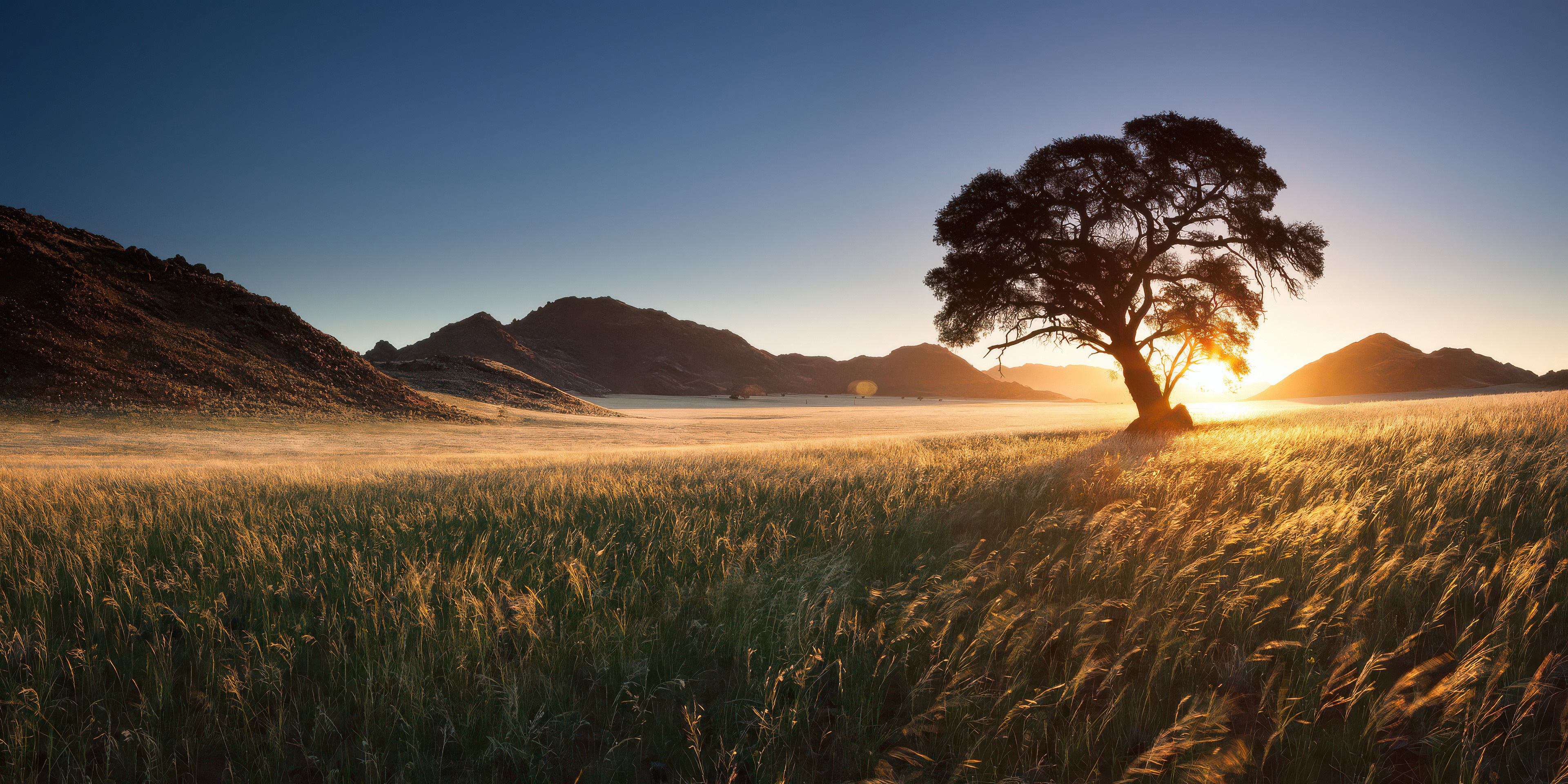 Golden Twilight Nature Evening Glow HD Wallpaper