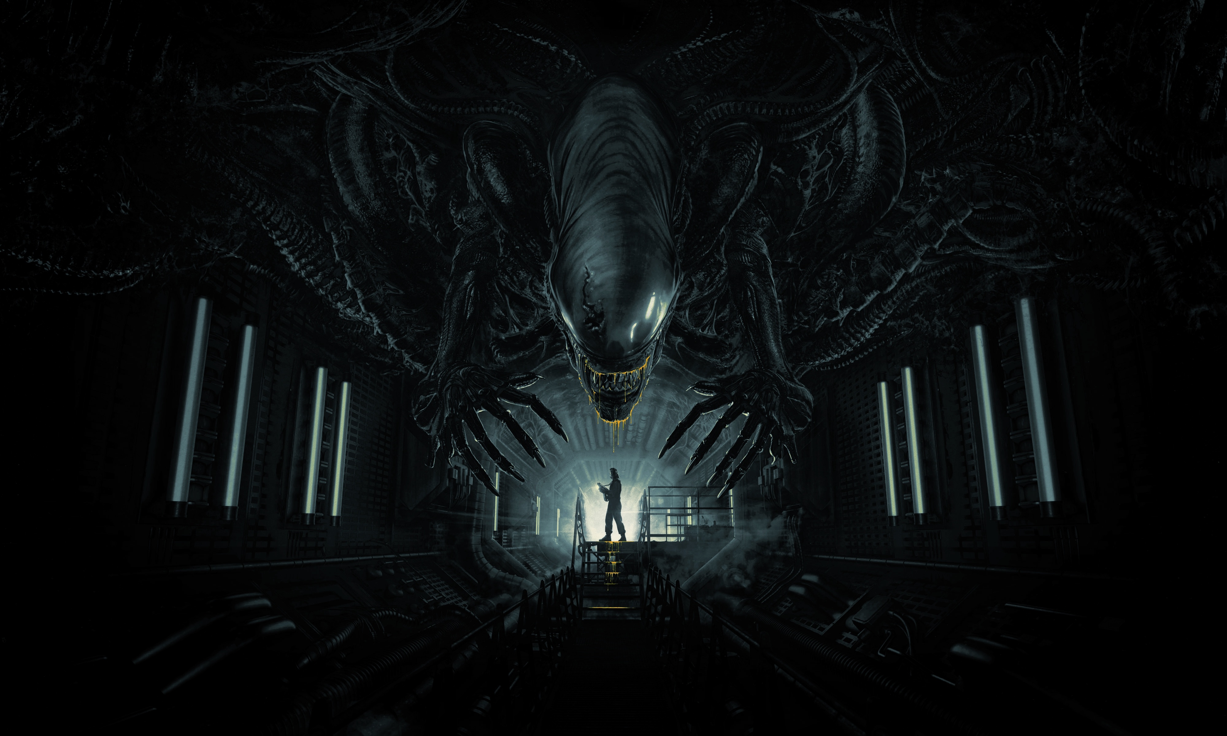 Alien Romulus 2024 Movie HD Wallpaper