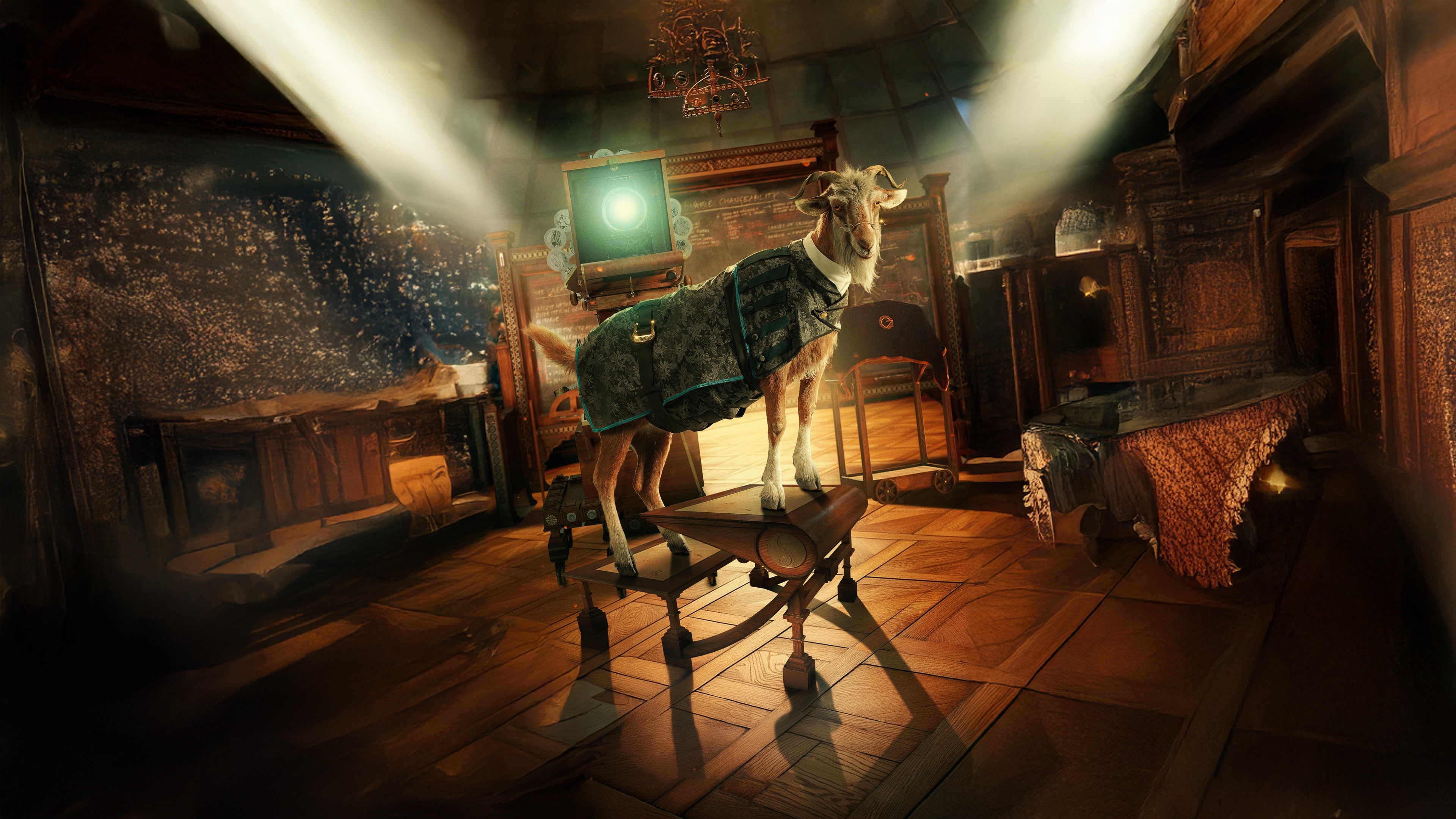 Goat in a coat standing on a table HD Wallpaper