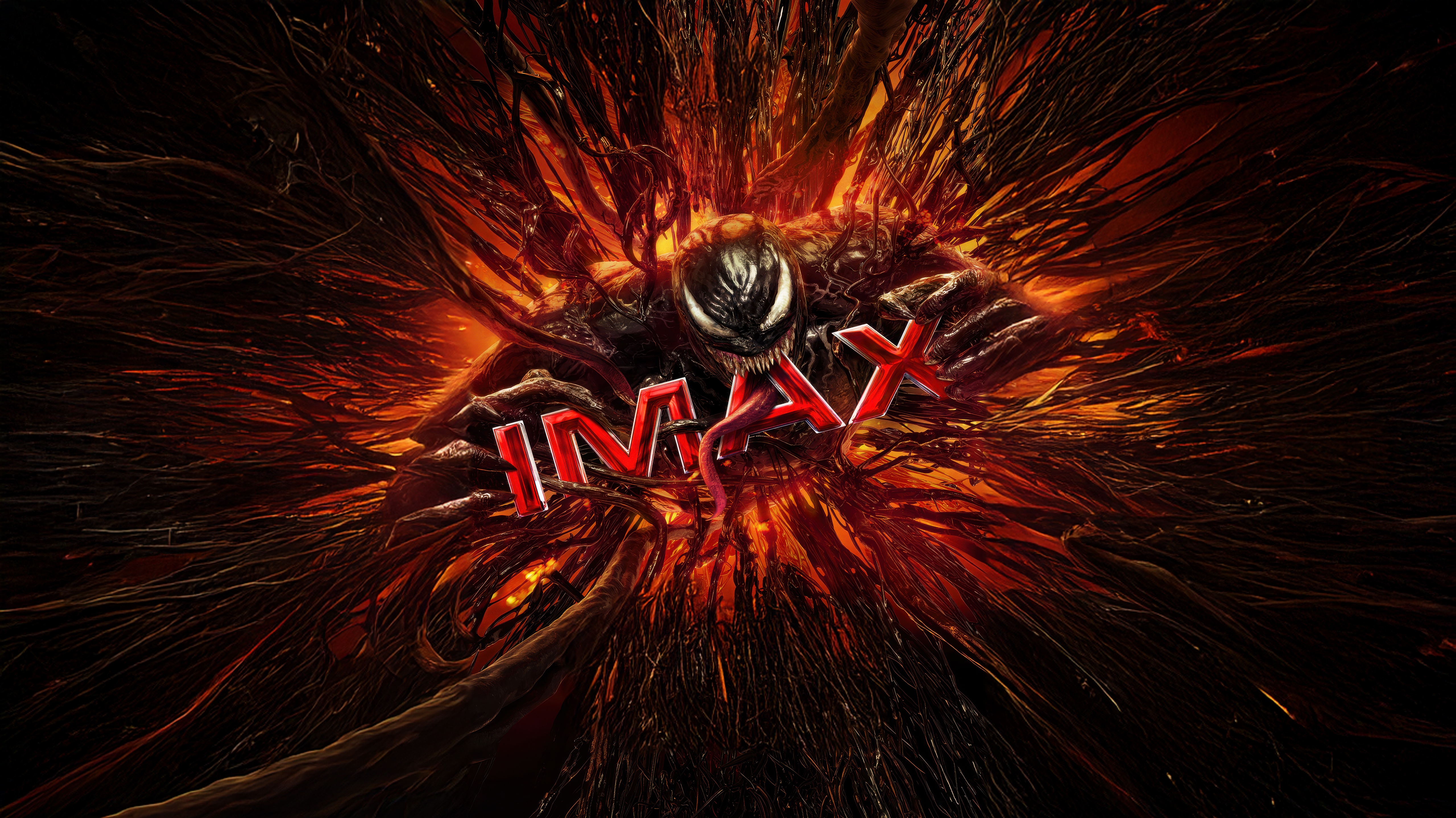 Venom The Last Dance Imax Poster HD Wallpaper