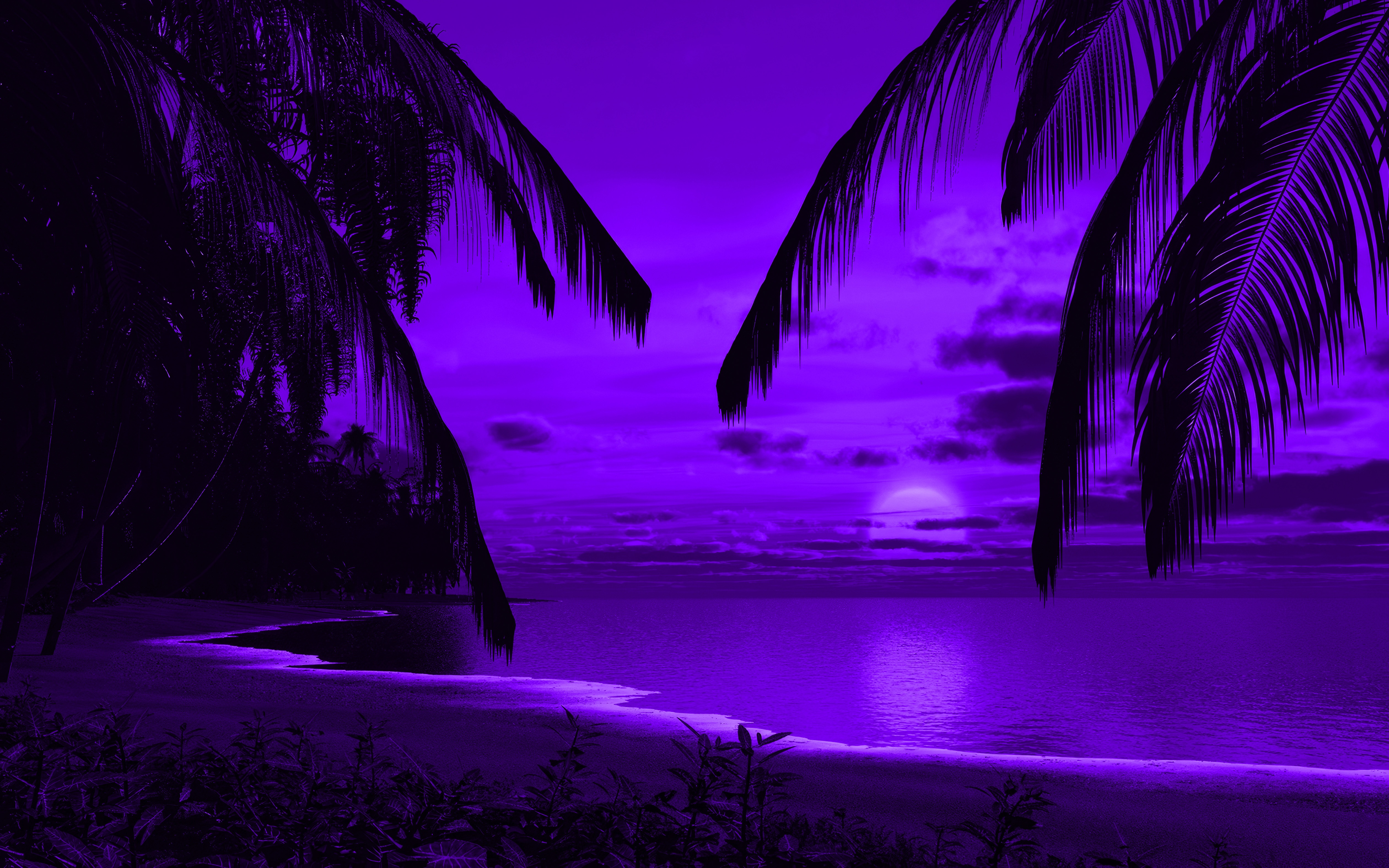 Purple sunset over a tropical beach with palm trees HD Wallpaper