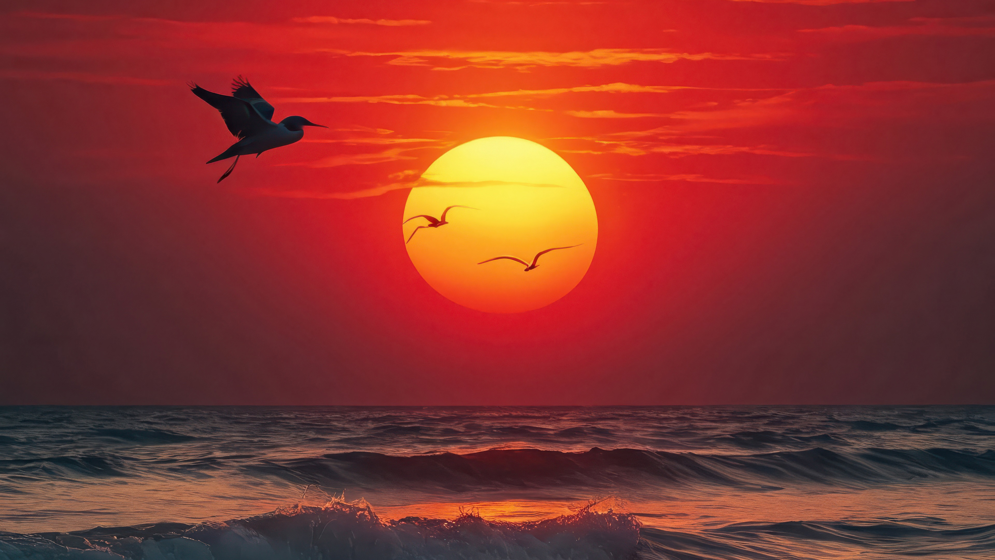 Birds flying over the ocean at sunset HD Wallpaper