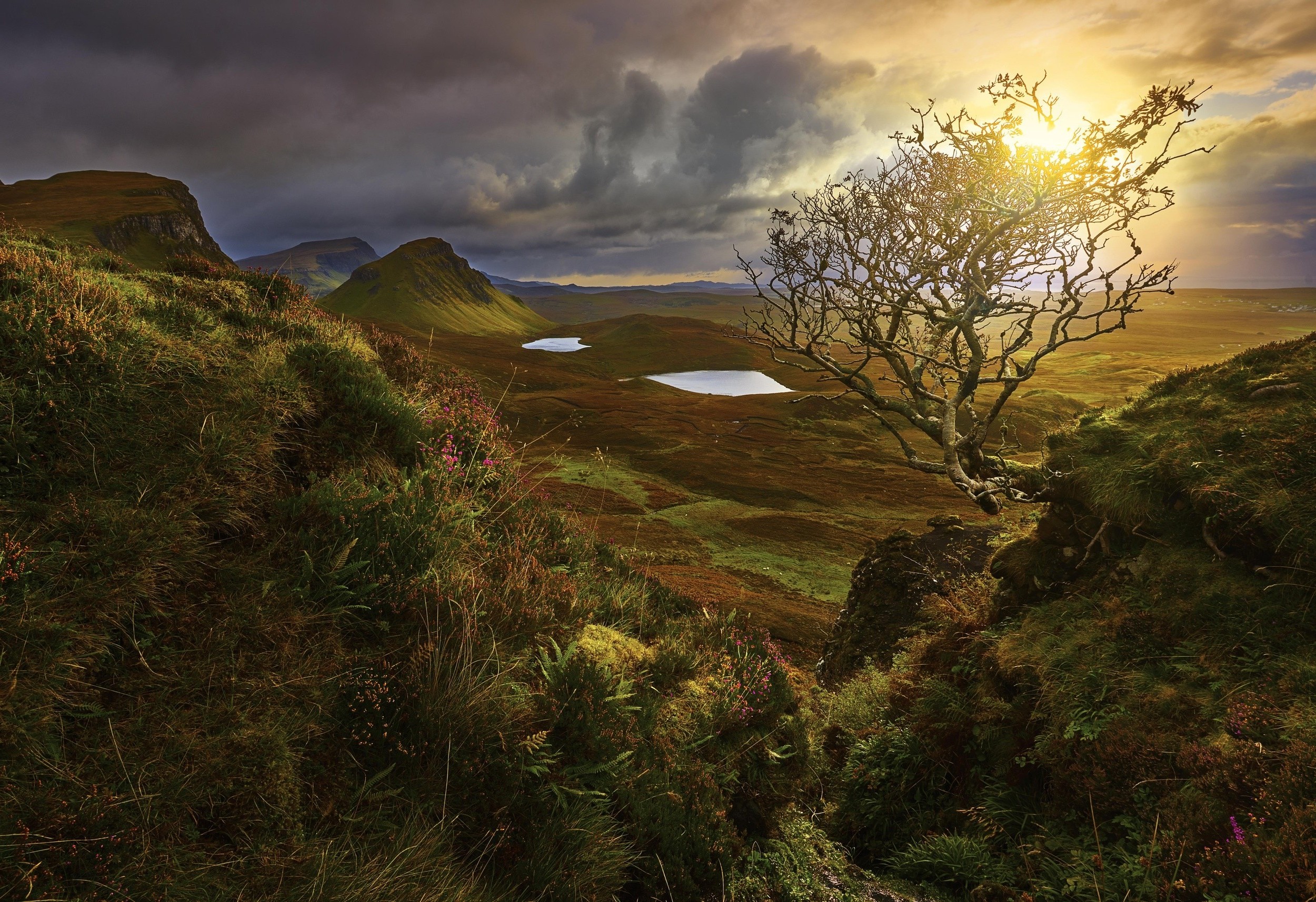 Sunrise over Quiraing landscape with lochs and tree HD Wallpaper