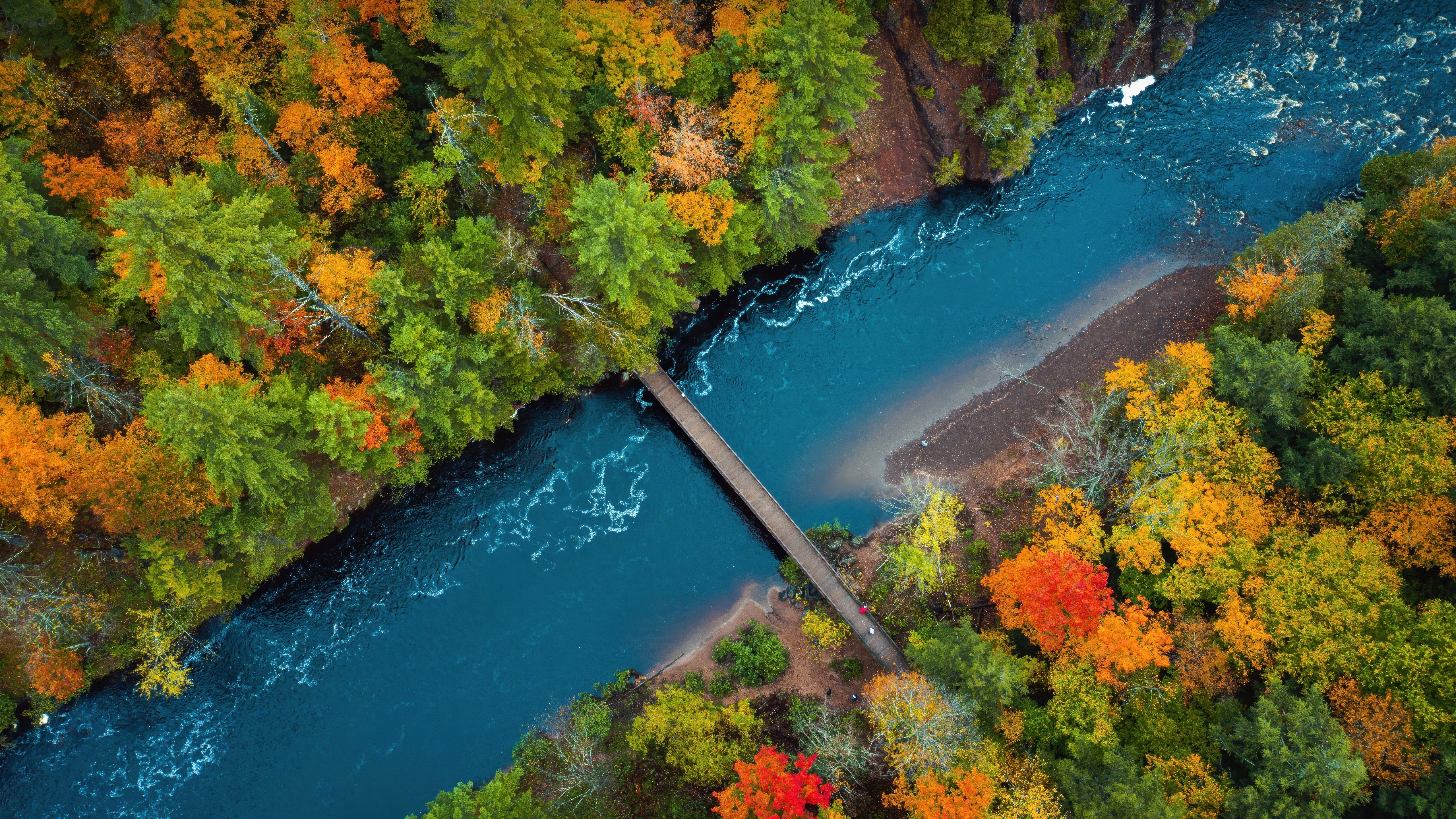 Bridge over a river in autumn forest HD Wallpaper