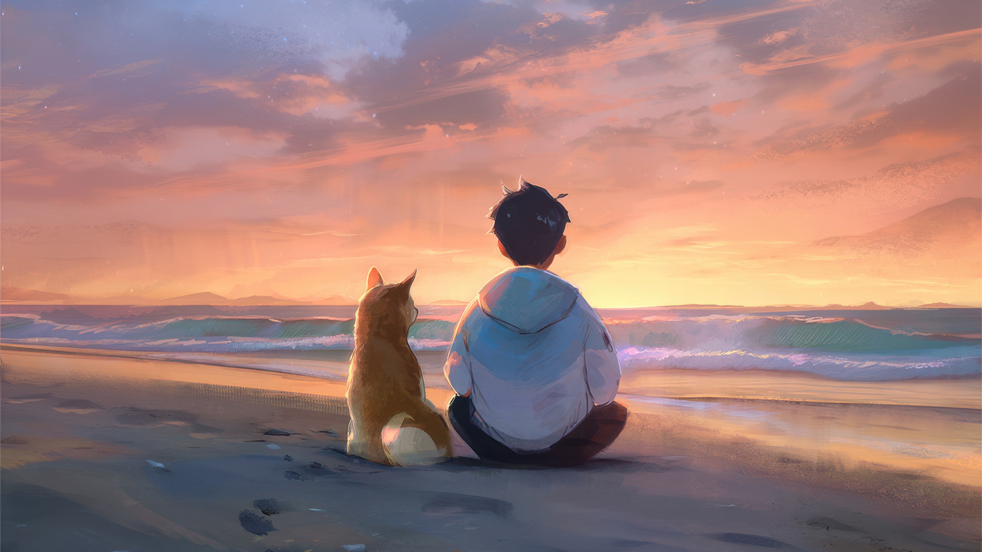 Boy and cat watching sunset on the beach HD Wallpaper