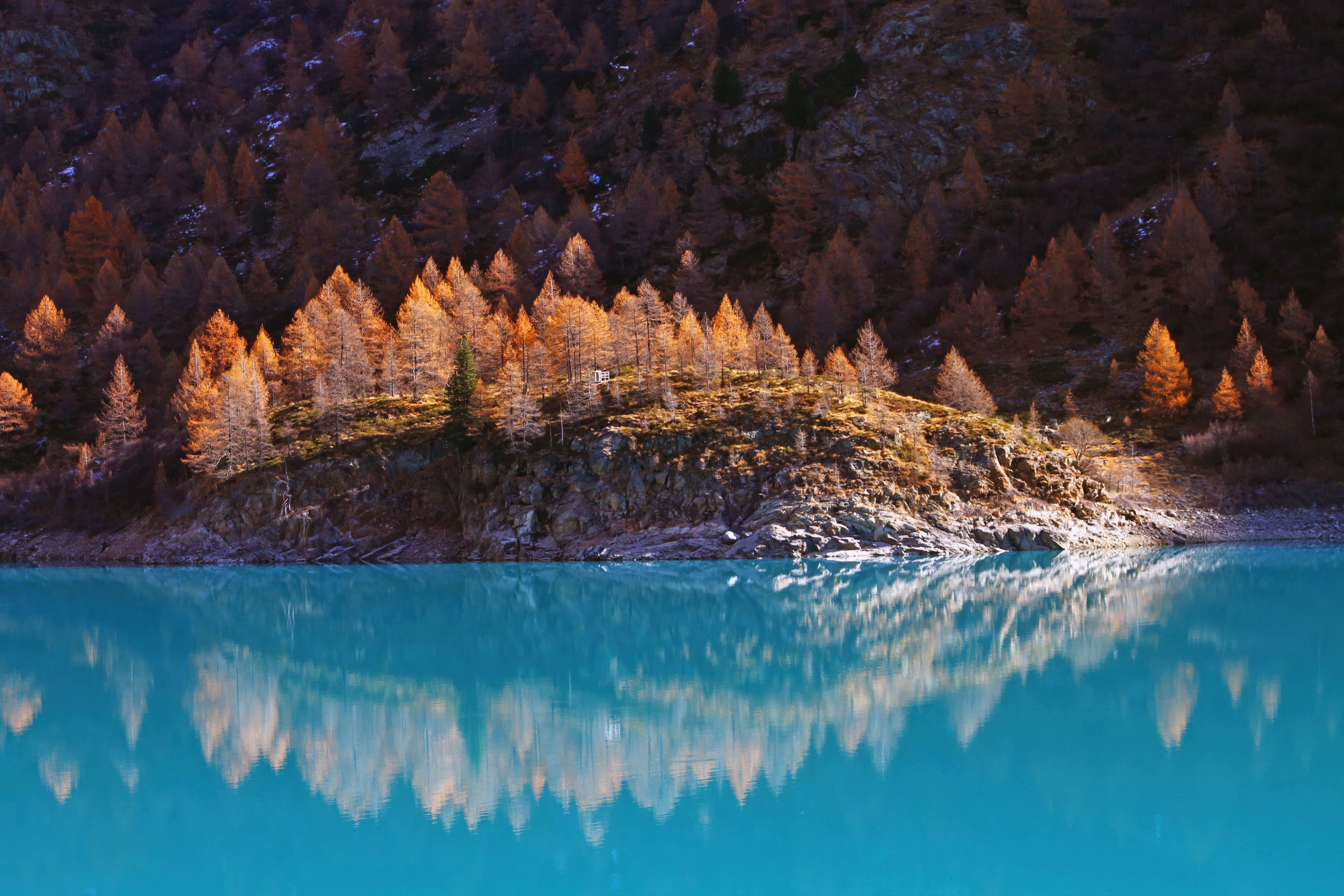 Autumn trees reflected in a bright blue lake HD Wallpaper