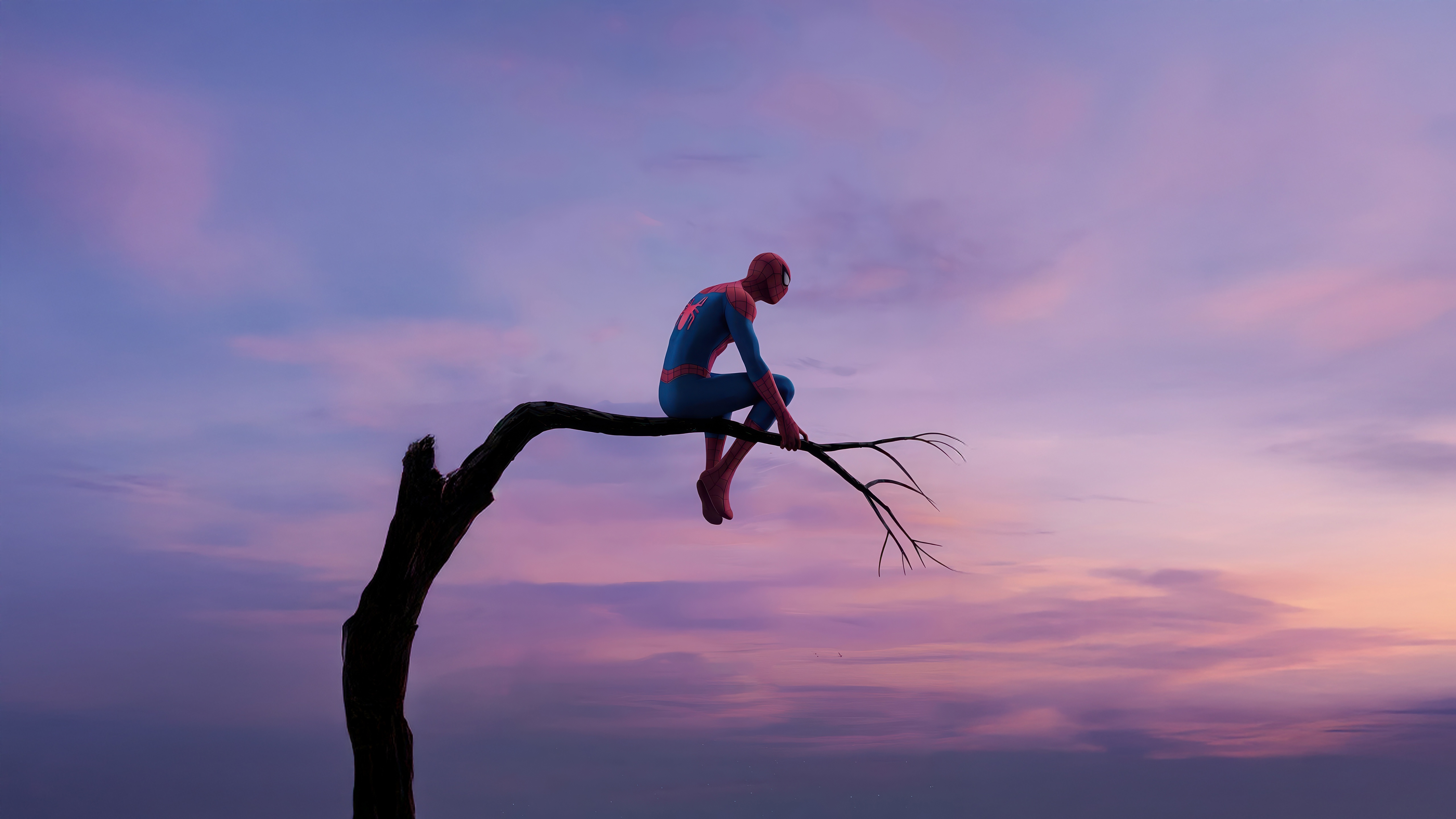 Spider-Man sits on a tree branch at sunset HD Wallpaper