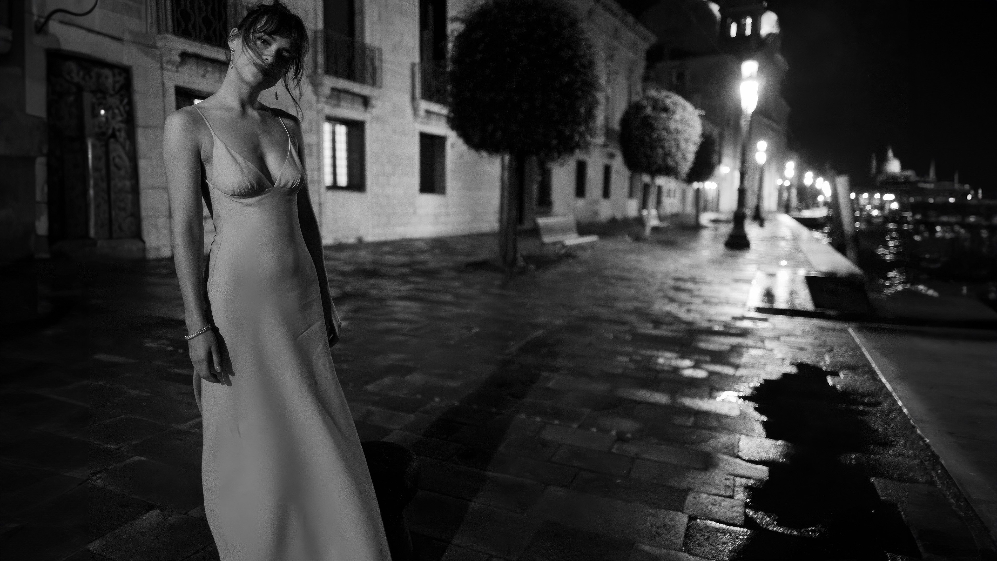 Dakota Johnson in a long dress at night HD Wallpaper