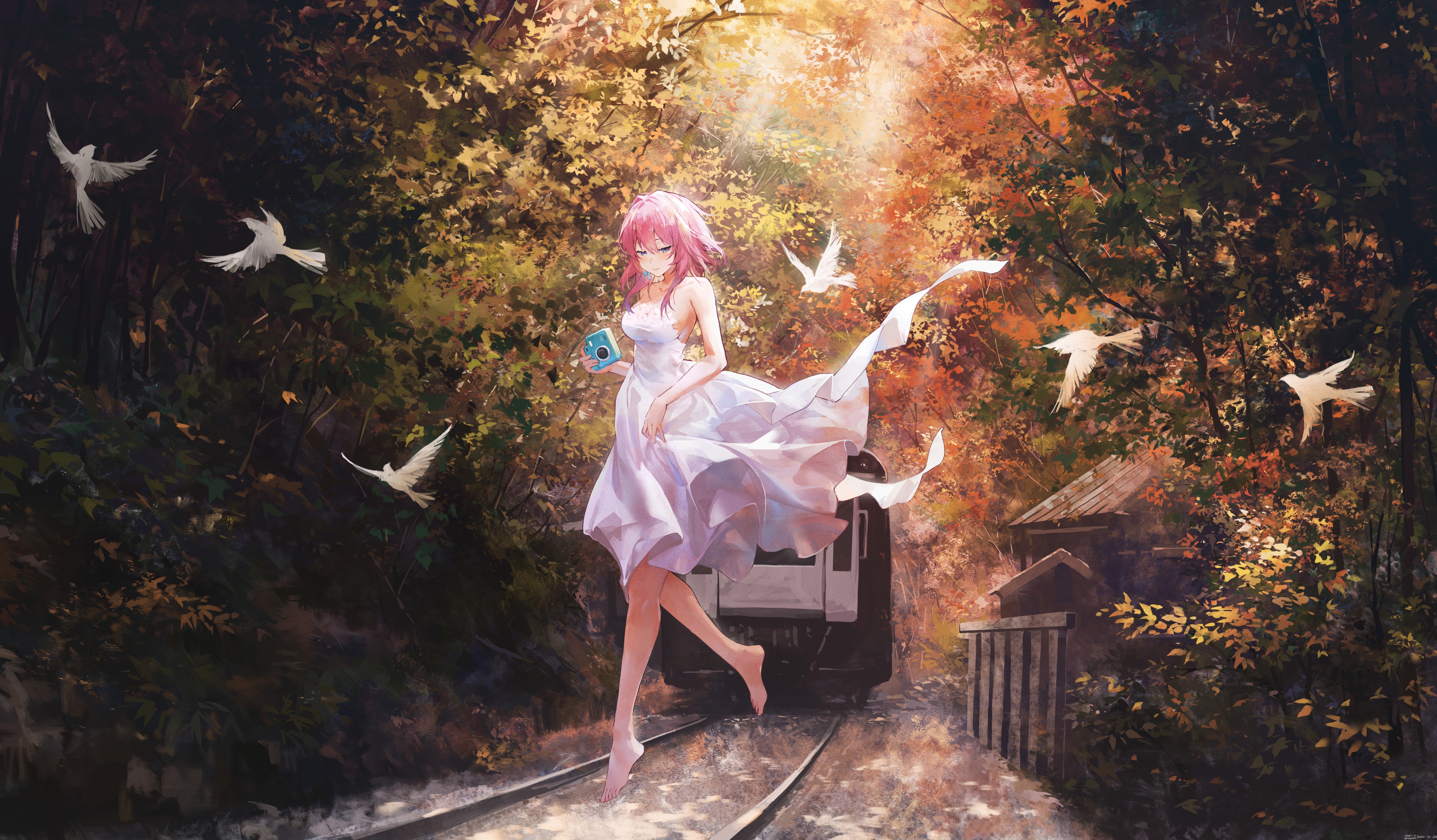 Honkai Star Rail Girl with Camera and Birds HD Wallpaper